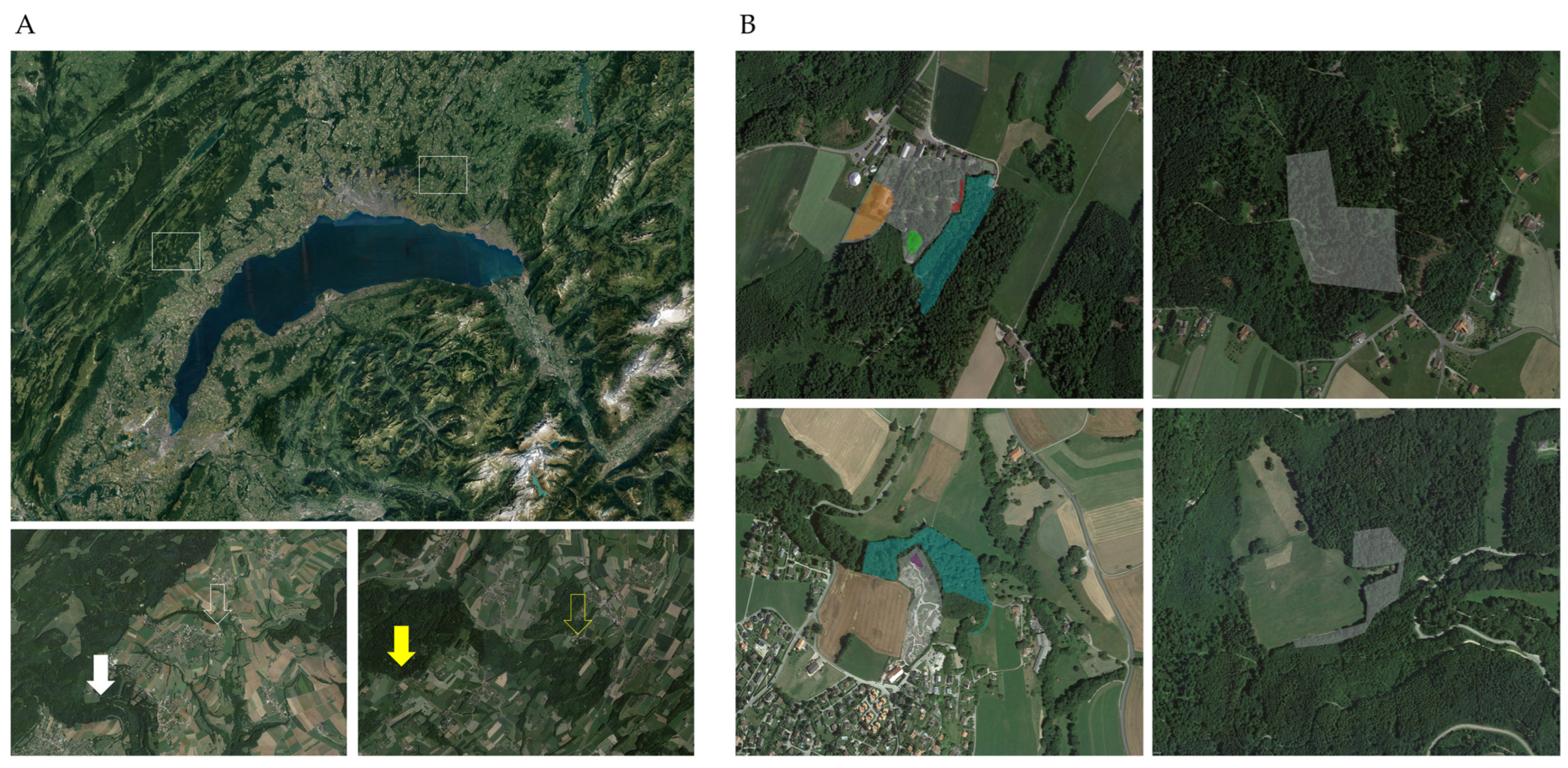 Microorganisms 11 02468 g001