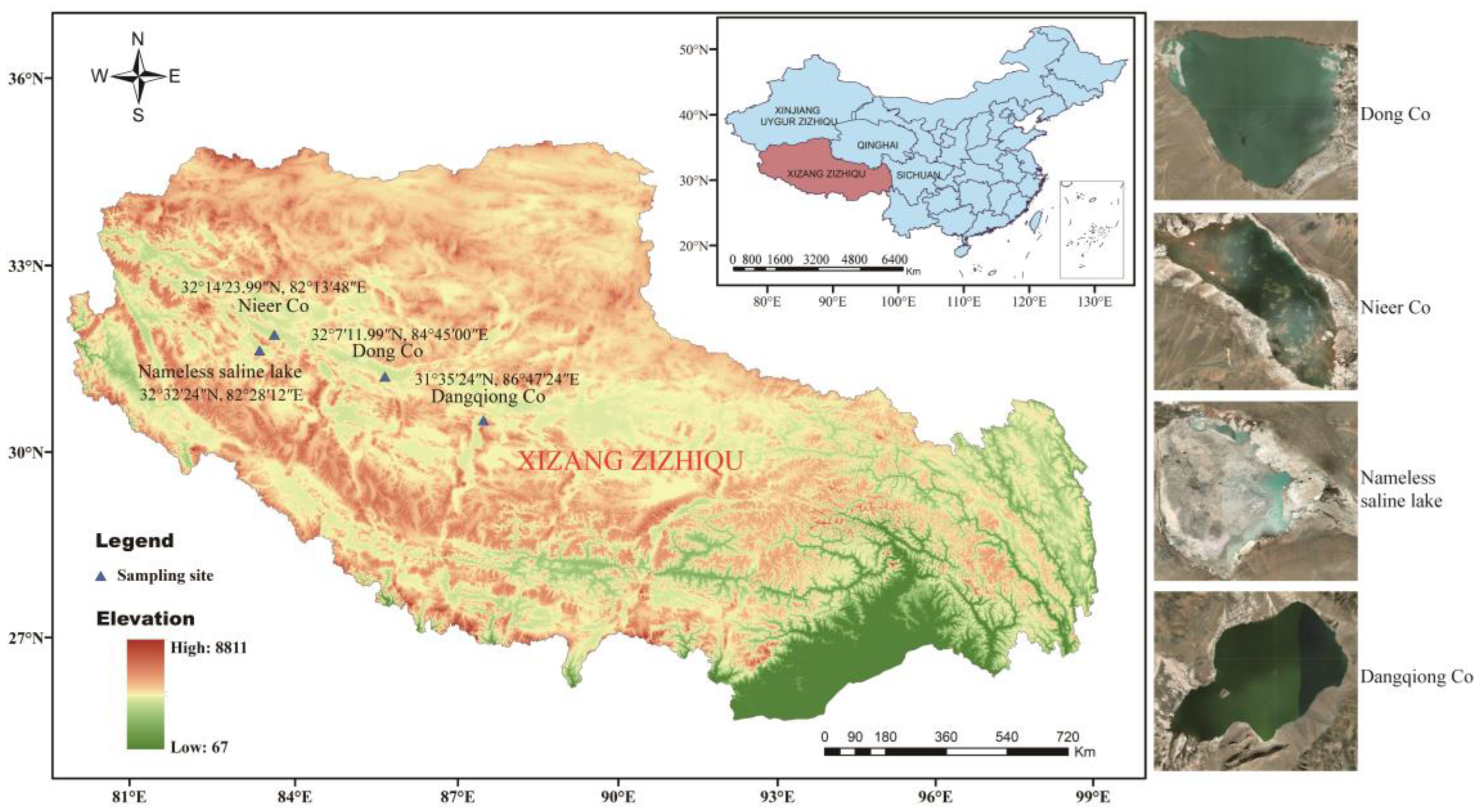 Bioprospecting of Actinobacterial Diversity and Bioprospecting of Actinobacterial Diversity and