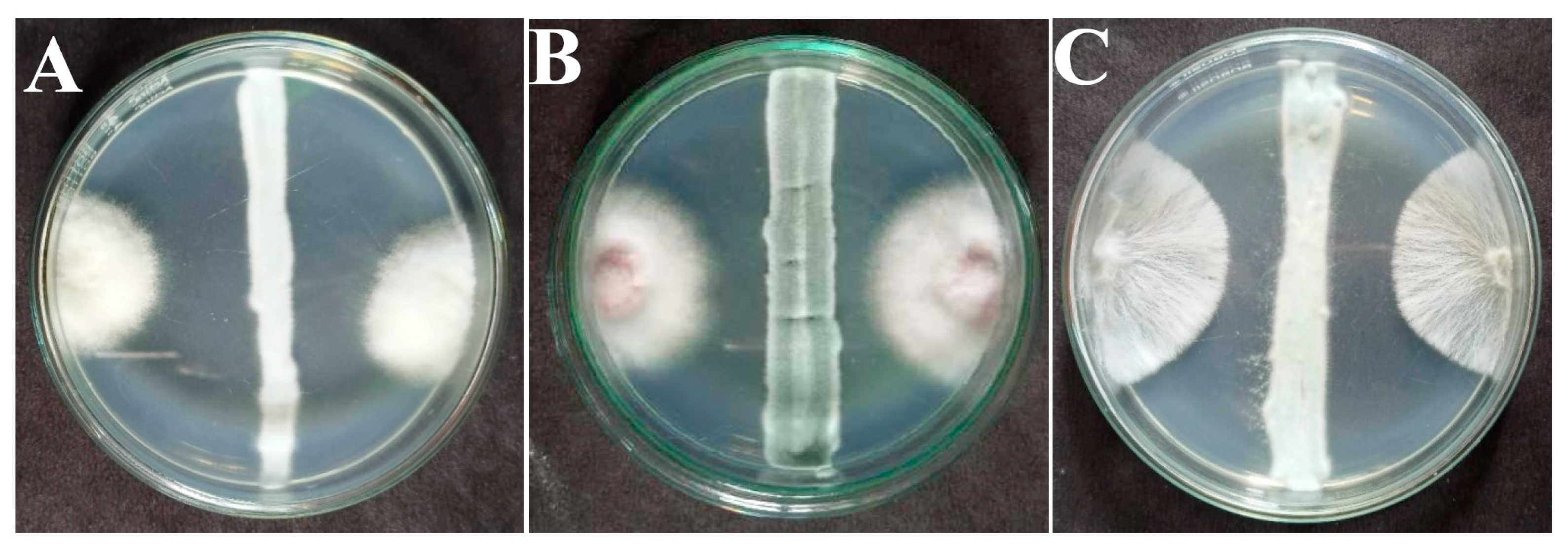 Microorganisms 11 02480 g001 Microorganisms 11 02480 g001