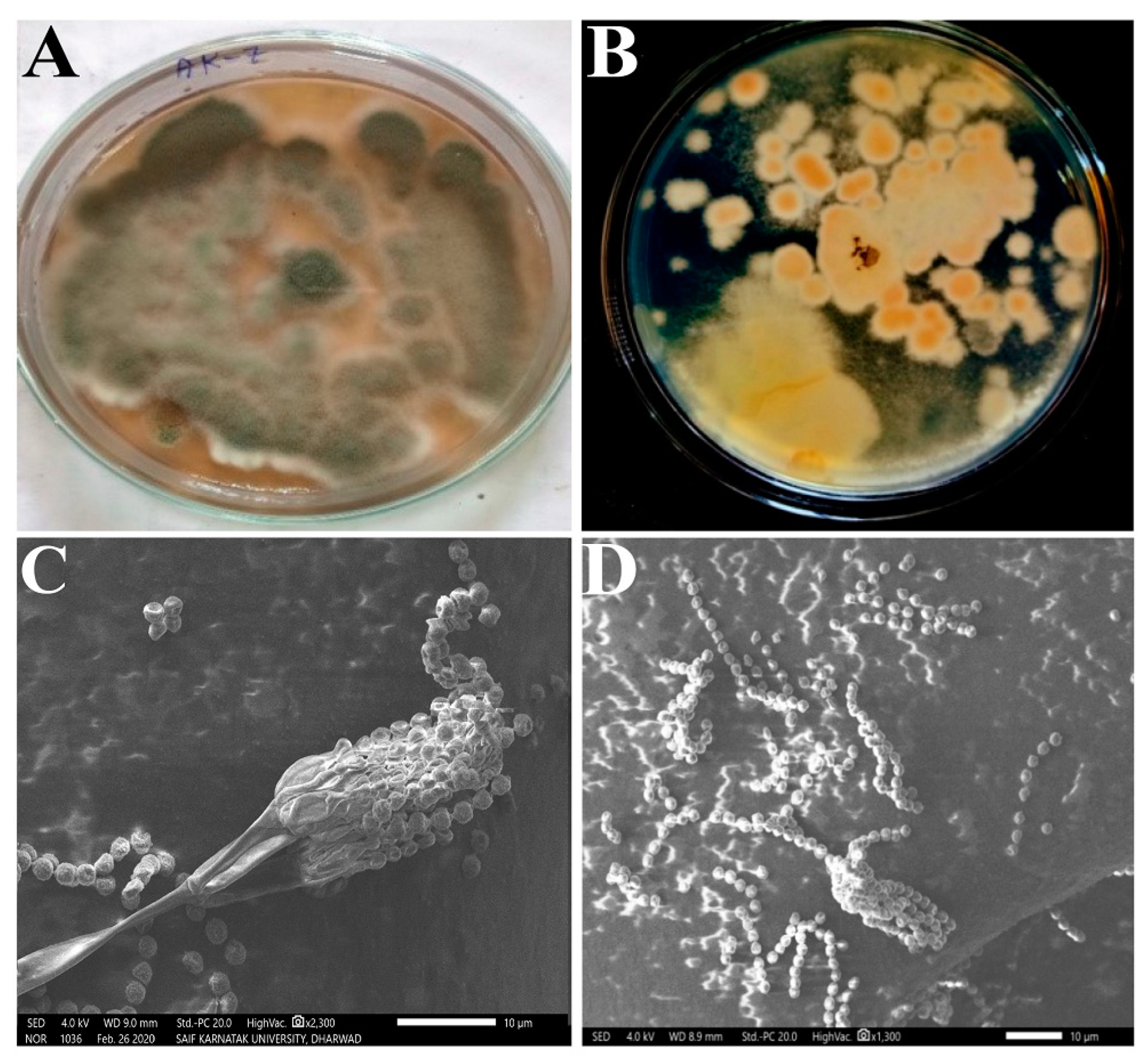 Microorganisms 11 02480 g002 Microorganisms 11 02480 g002
