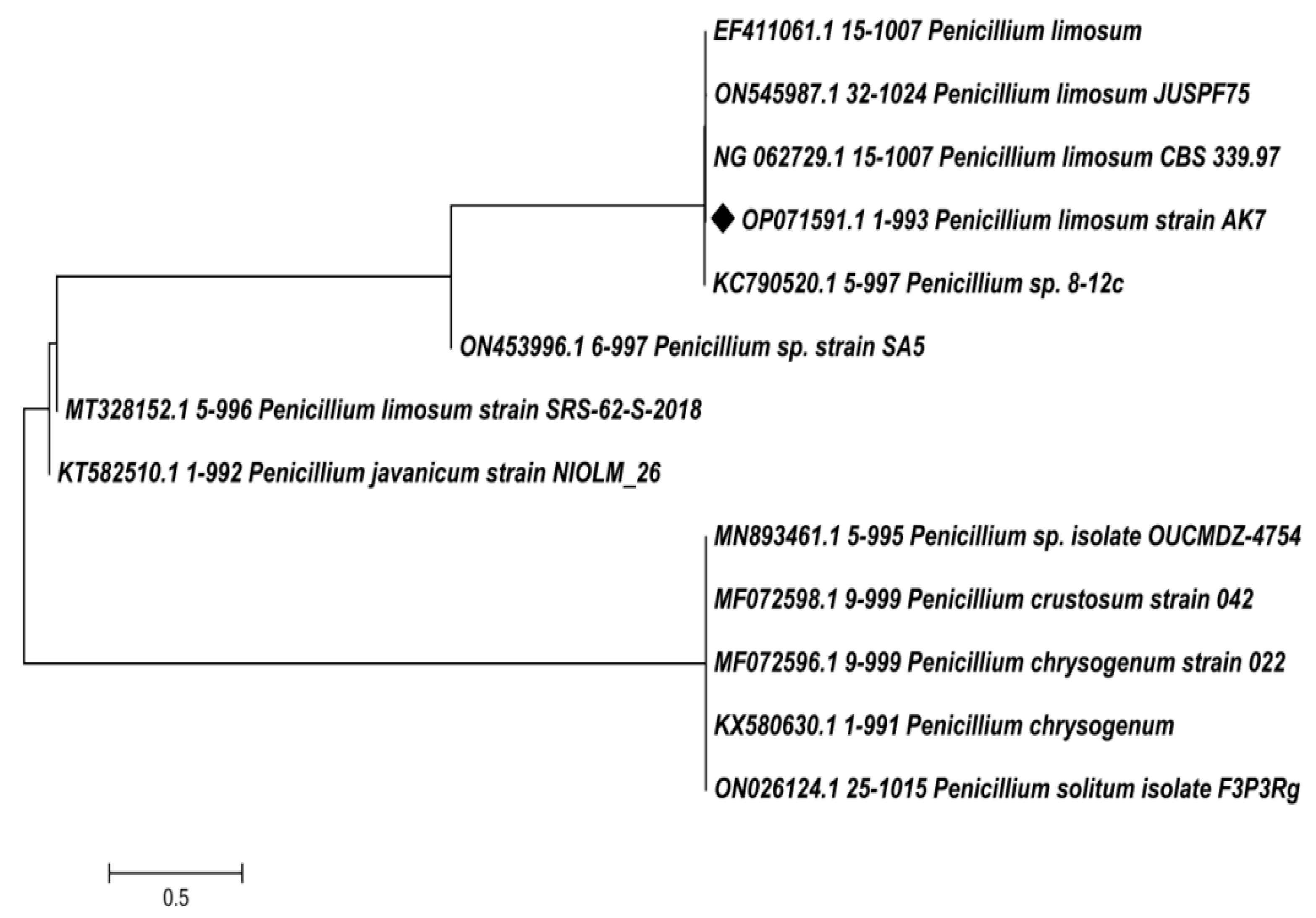 Microorganisms 11 02480 g003 Microorganisms 11 02480 g003