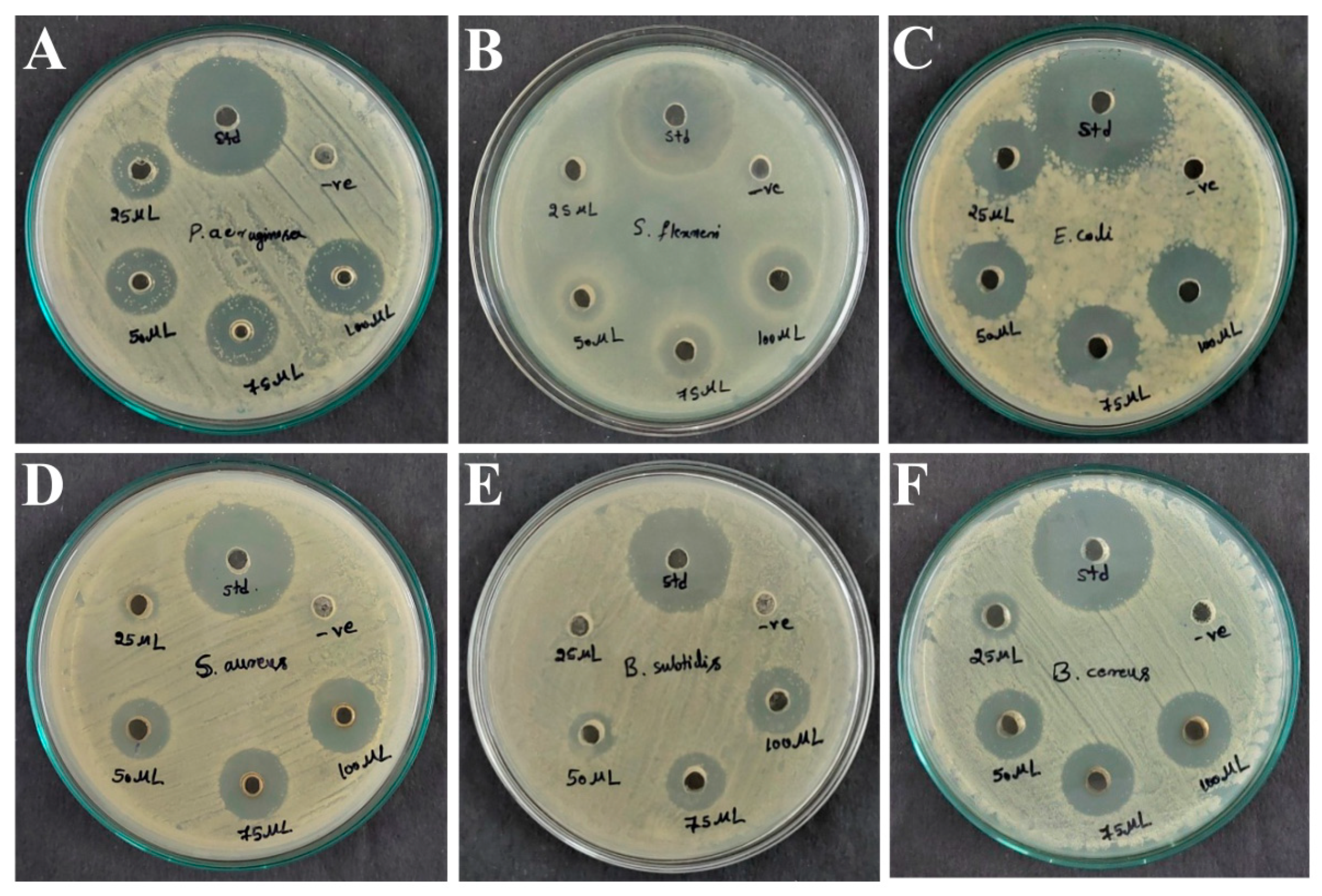 Microorganisms 11 02480 g006 Microorganisms 11 02480 g006