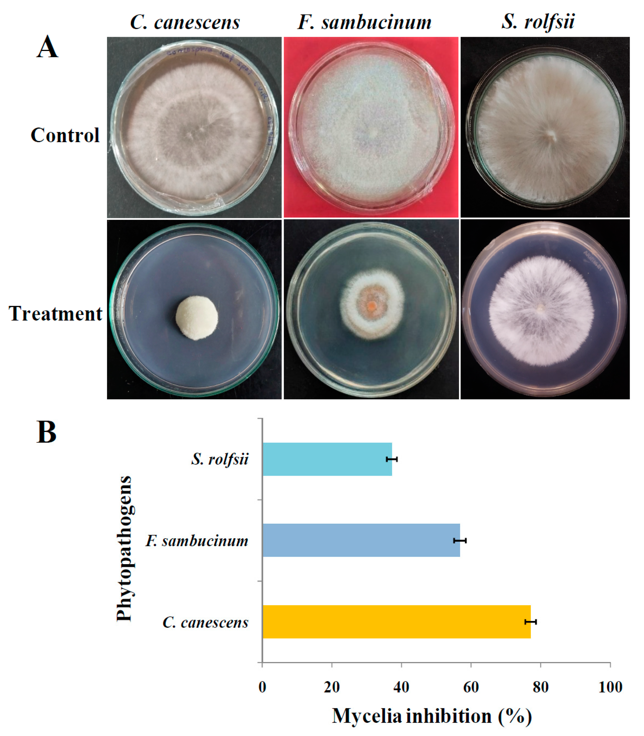 Microorganisms 11 02480 g008 Microorganisms 11 02480 g008