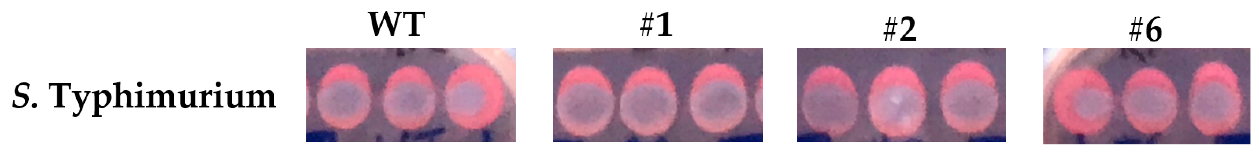 Microorganisms 11 02495 g0a8