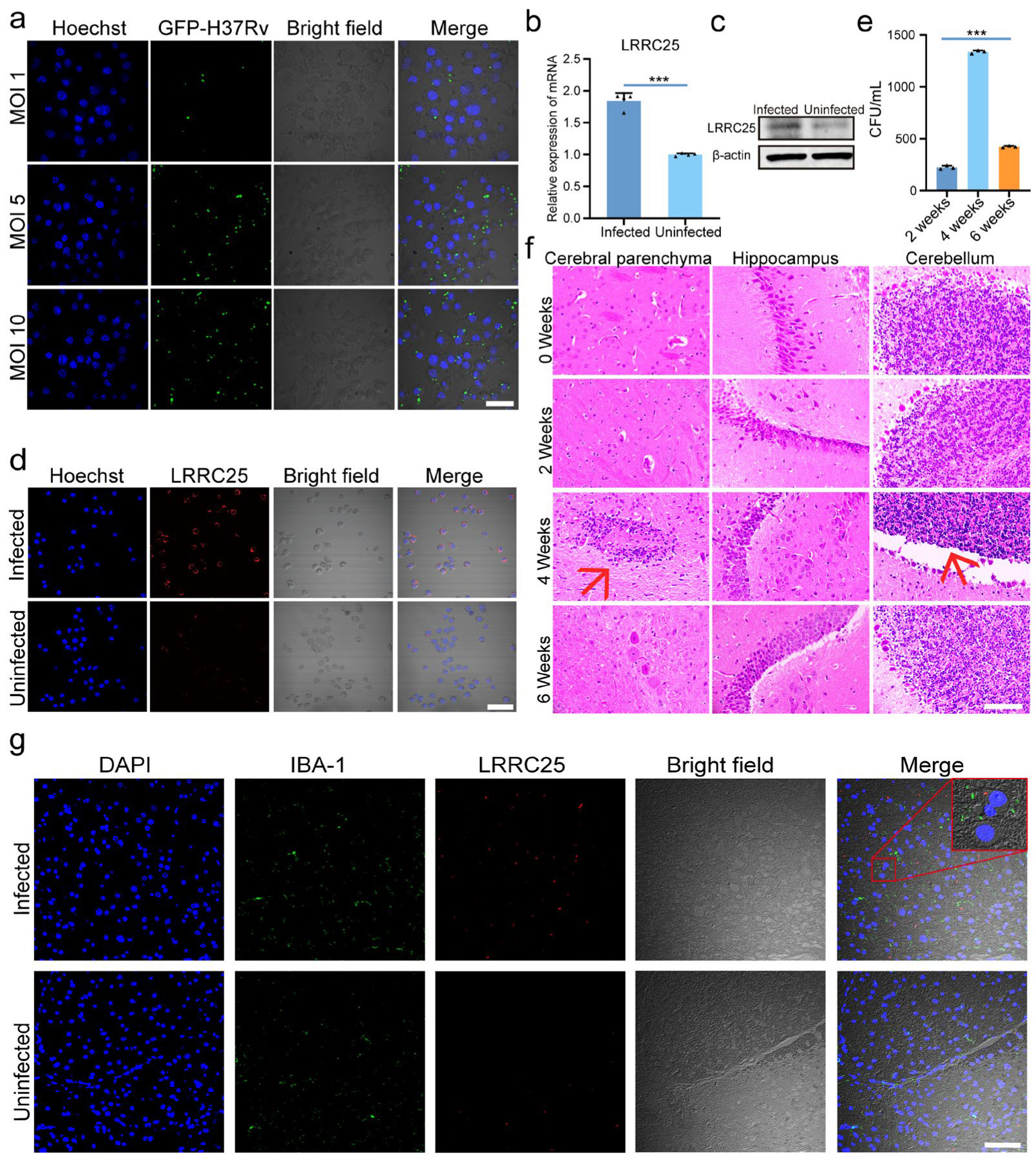 Microorganisms 11 02500 g001