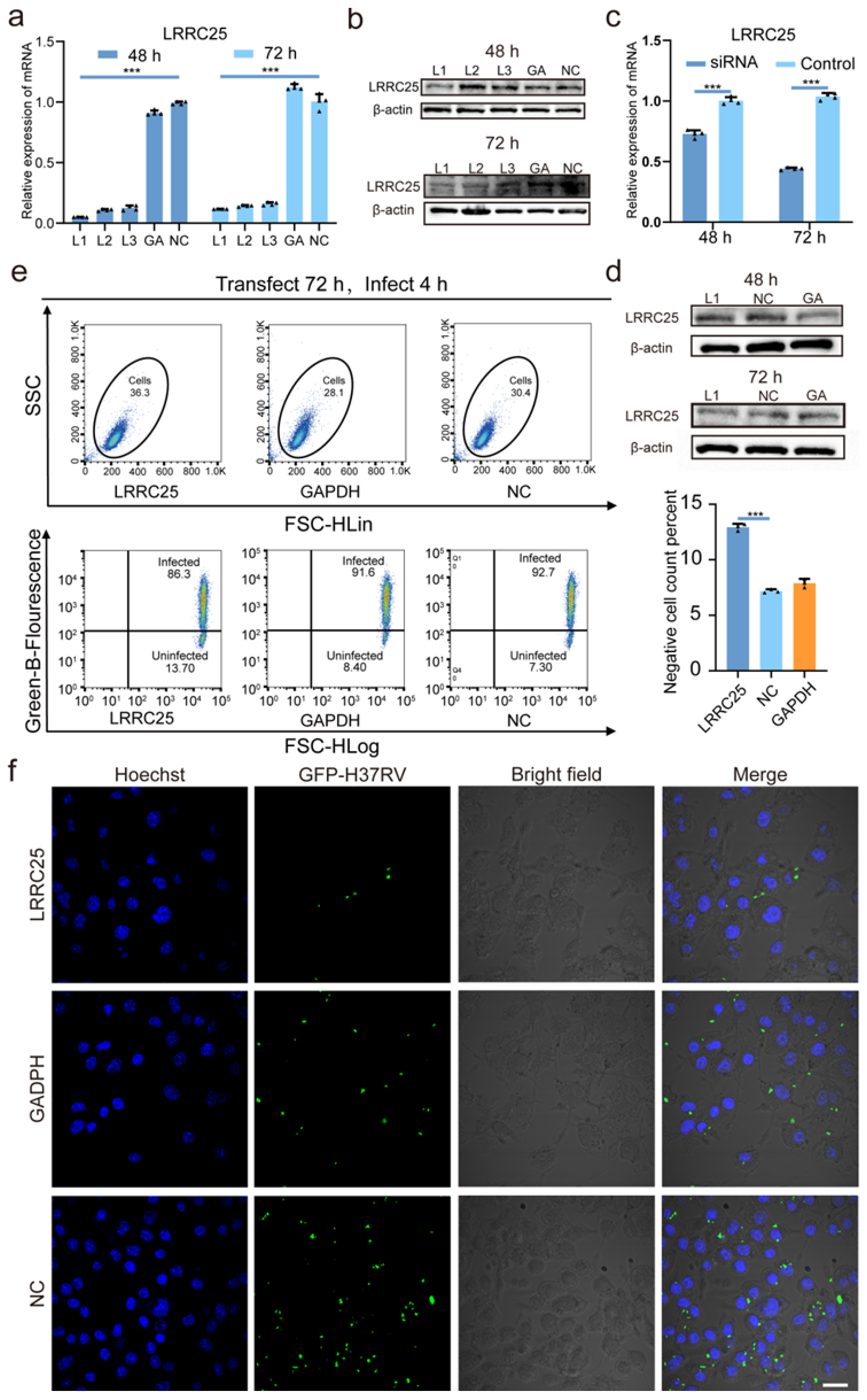 Microorganisms 11 02500 g002