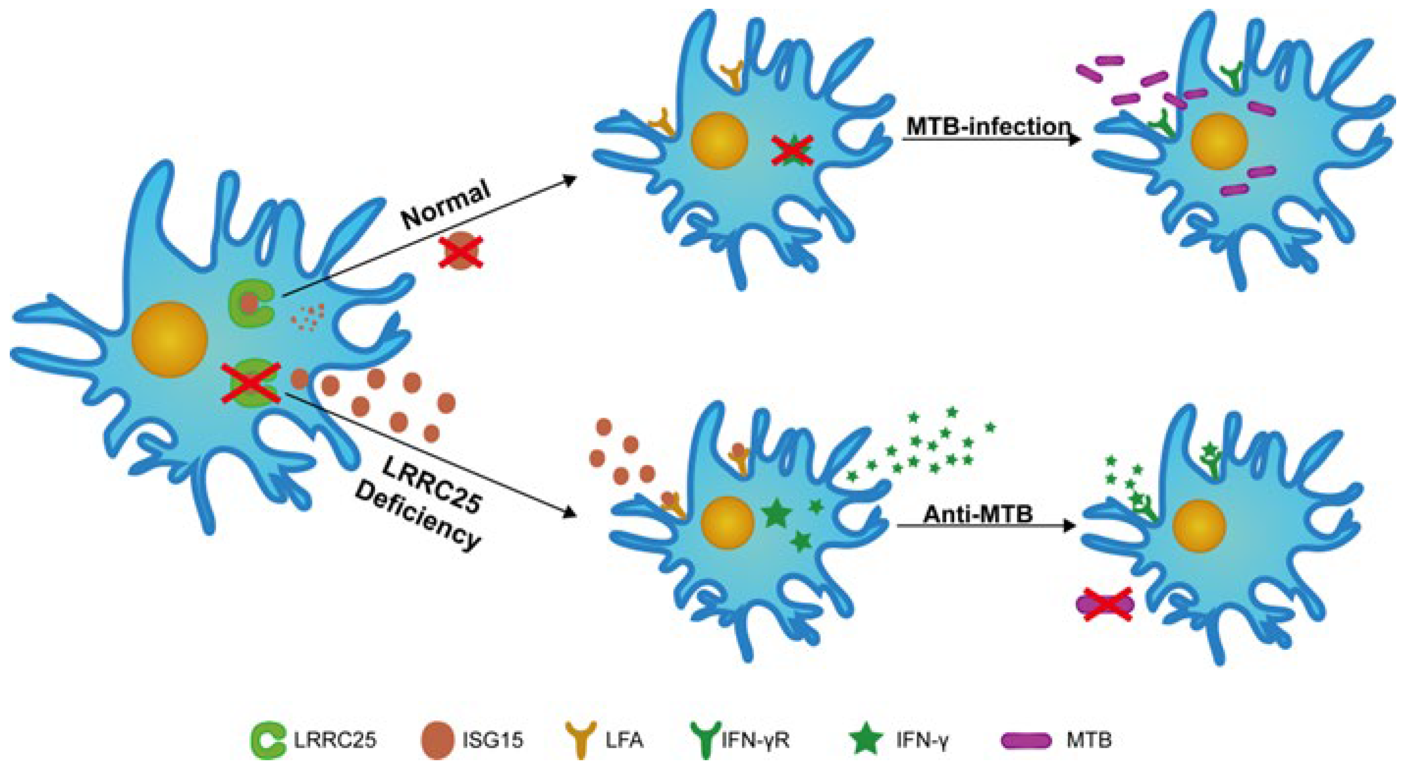 Microorganisms 11 02500 g004