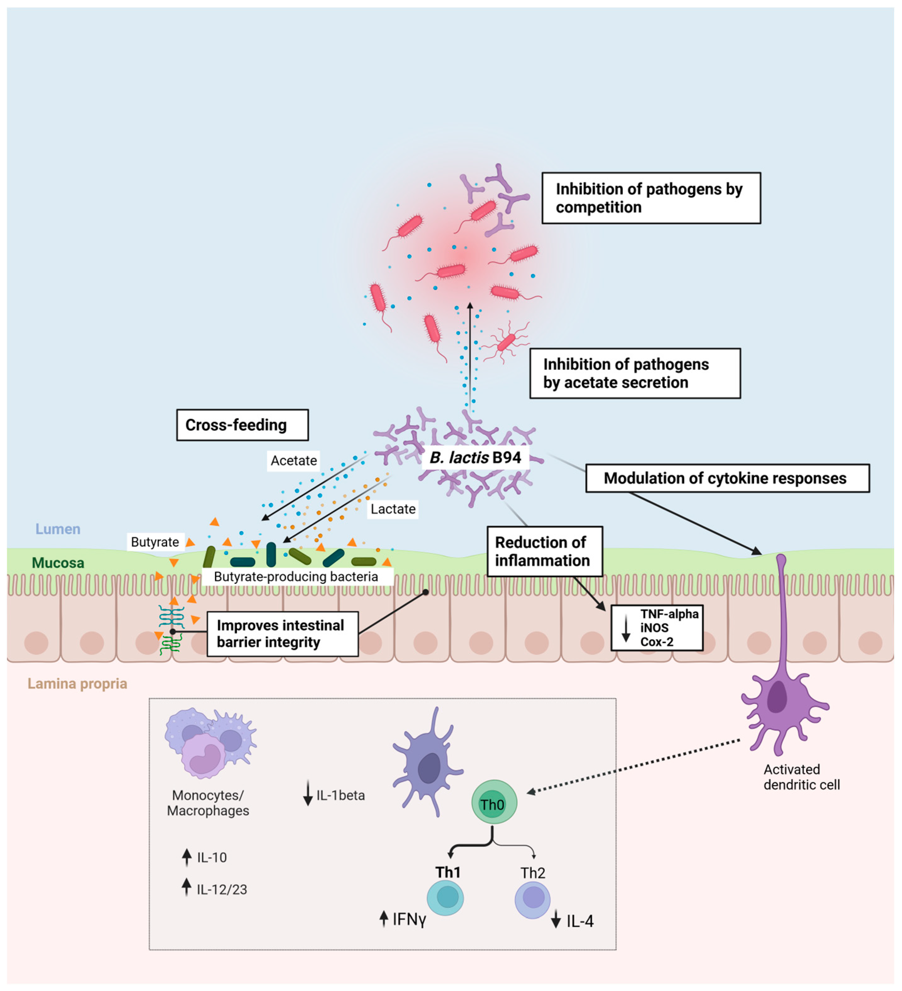 Microorganisms 11 02501 g001 Microorganisms 11 02501 g001