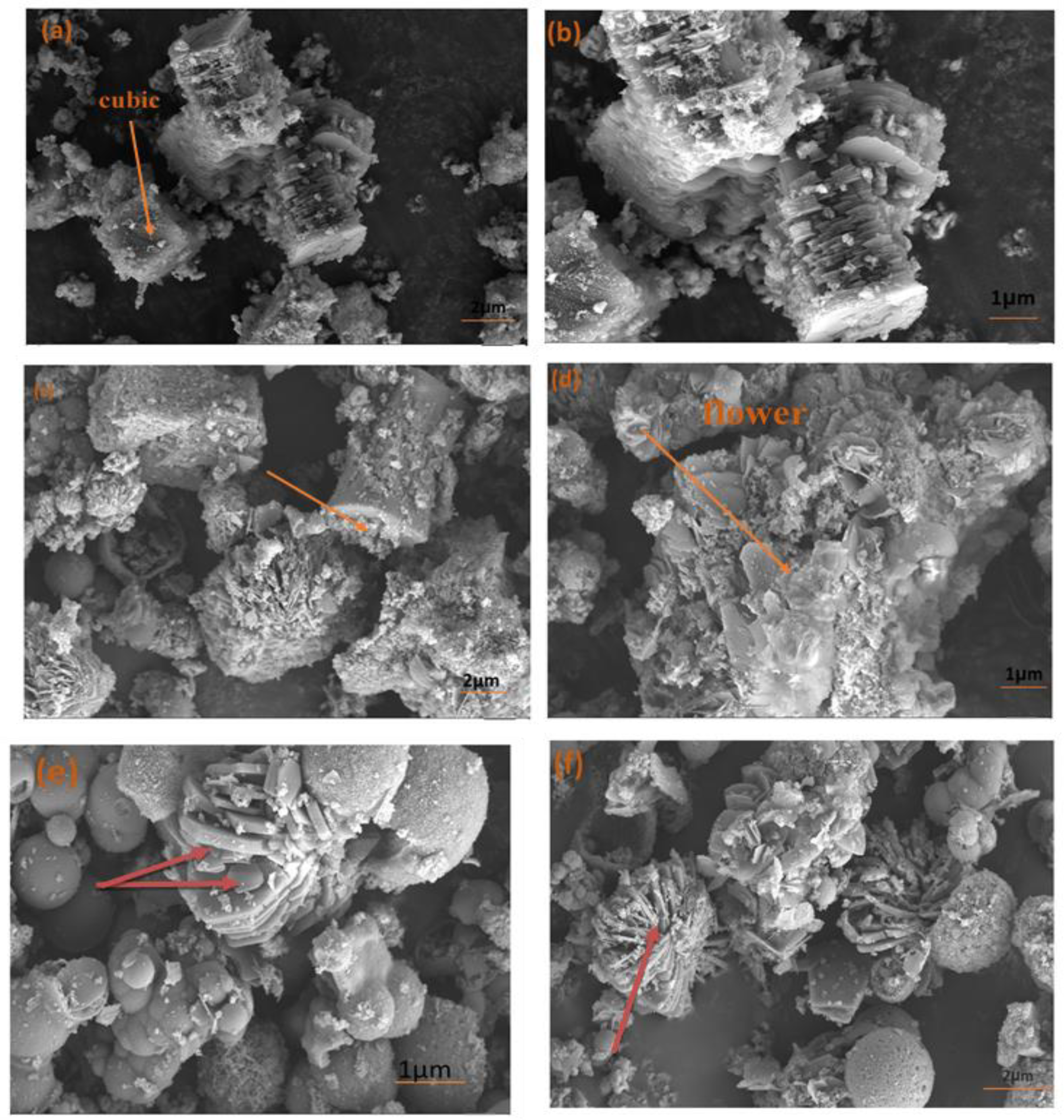 Microorganisms 11 02506 g004 Microorganisms 11 02506 g004