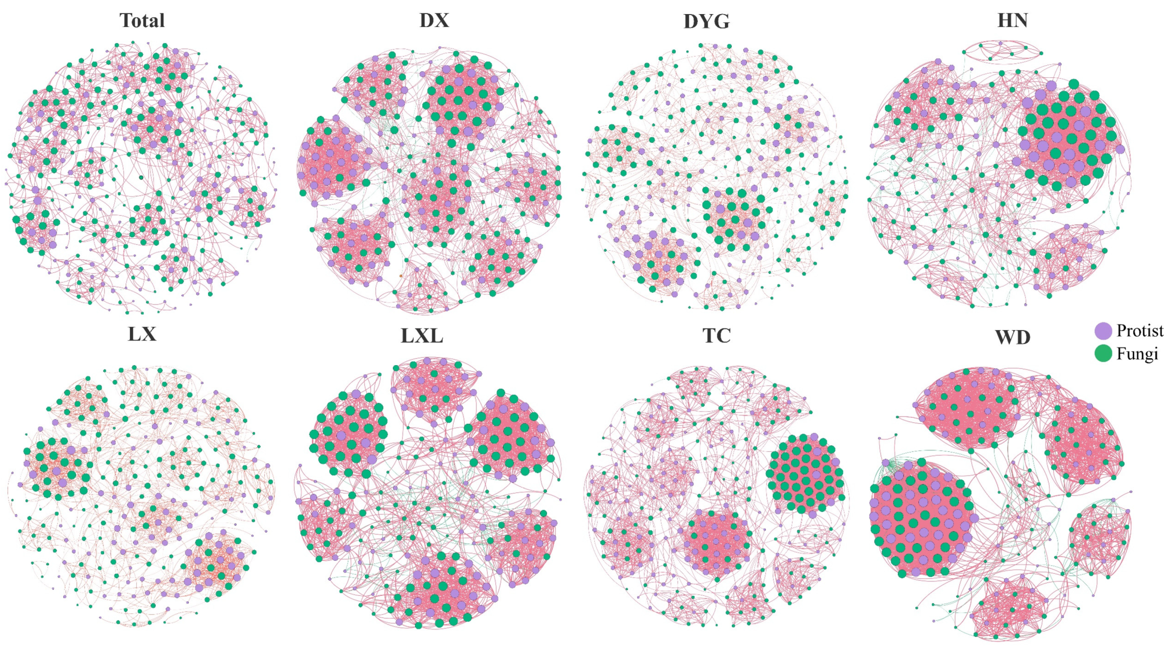 Exploring Microeukaryote Community Characteristics and Niche Exploring Microeukaryote Community Characteristics and Niche