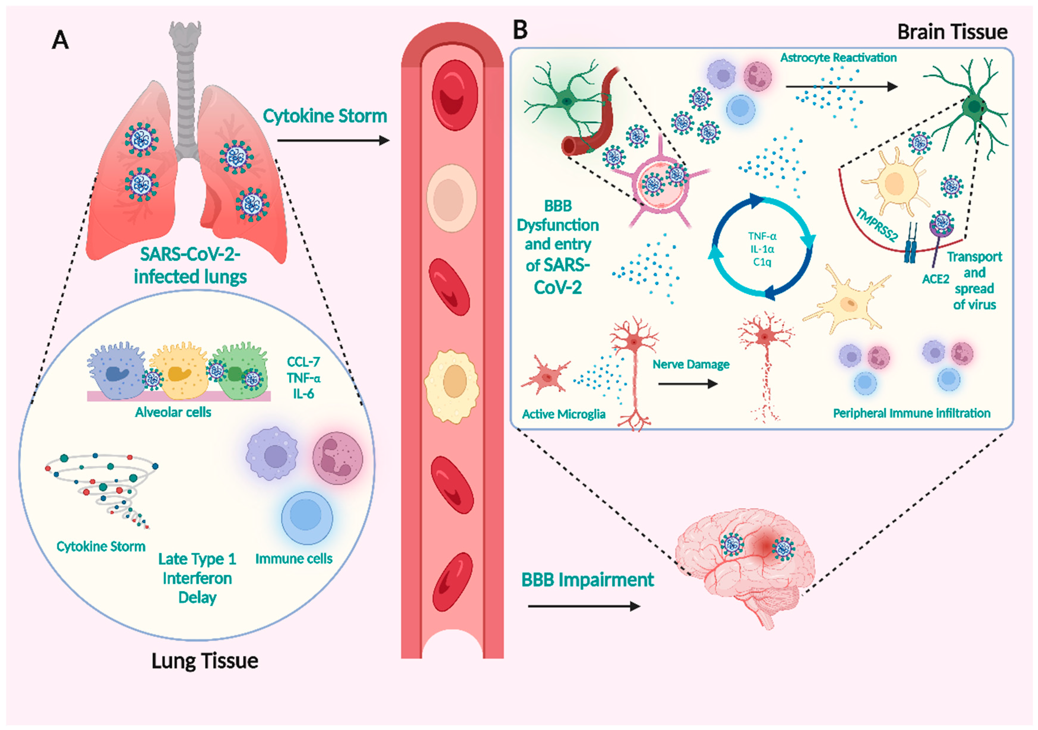 Microorganisms 11 02511 g003