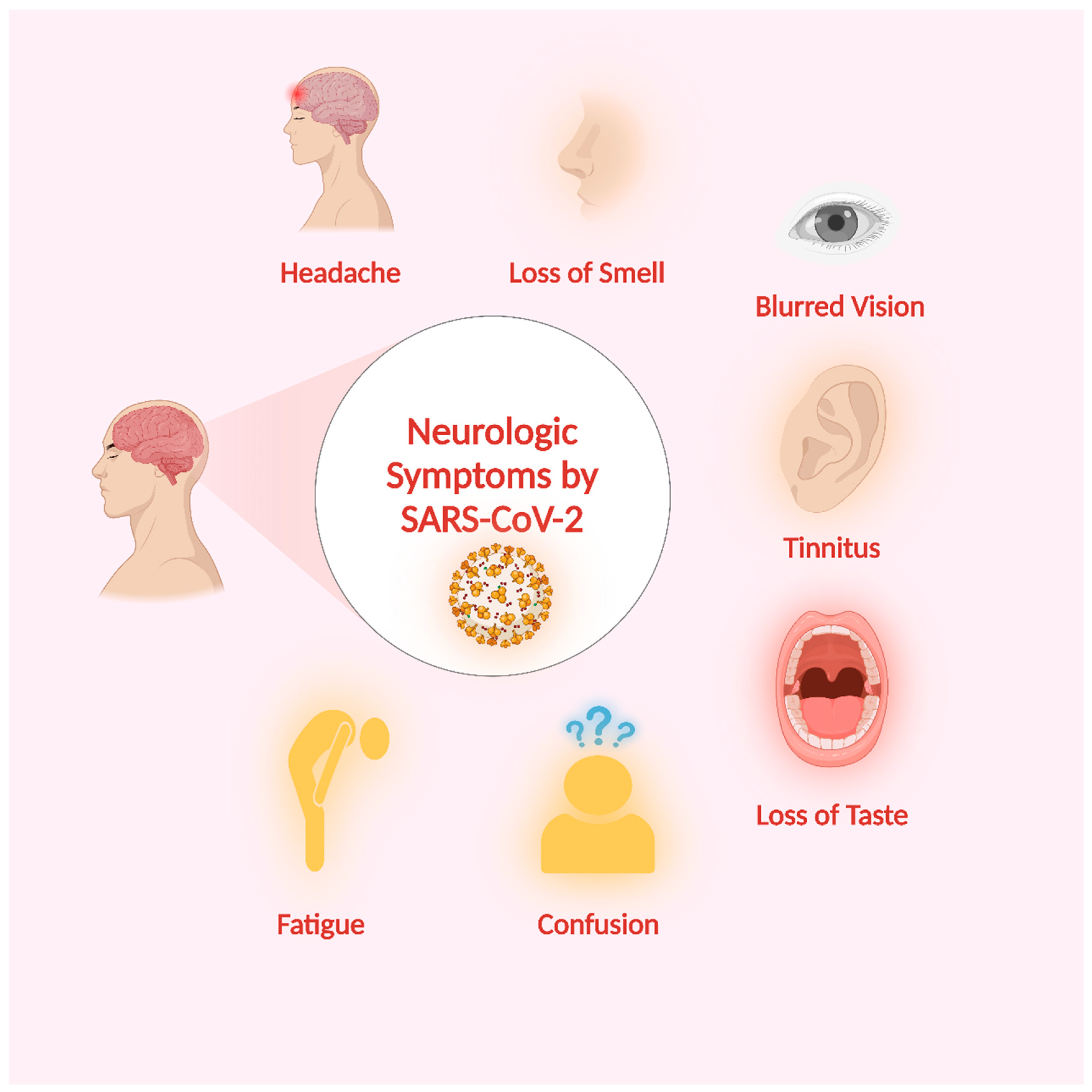 Microorganisms 11 02511 g005