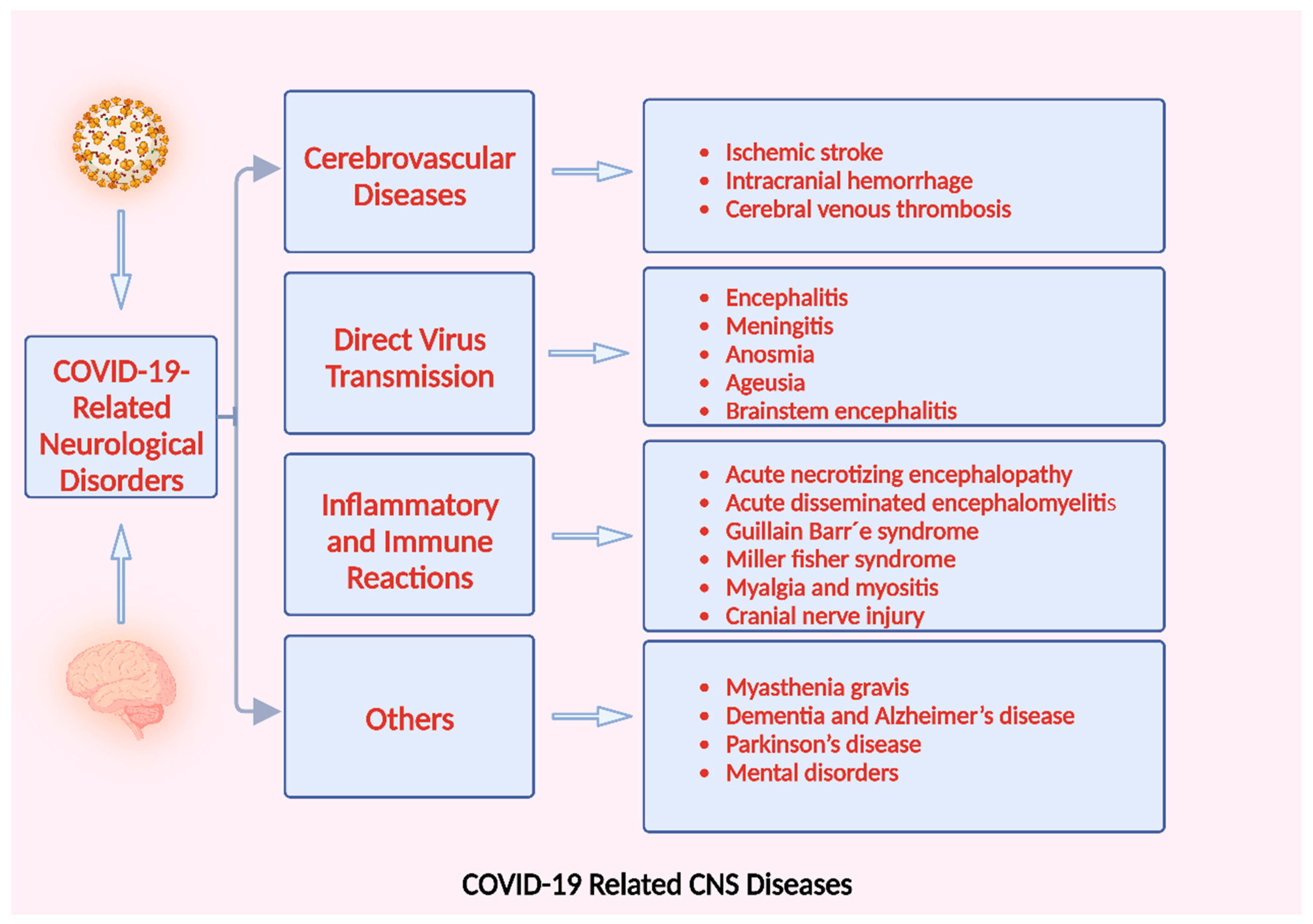 Microorganisms 11 02511 g006