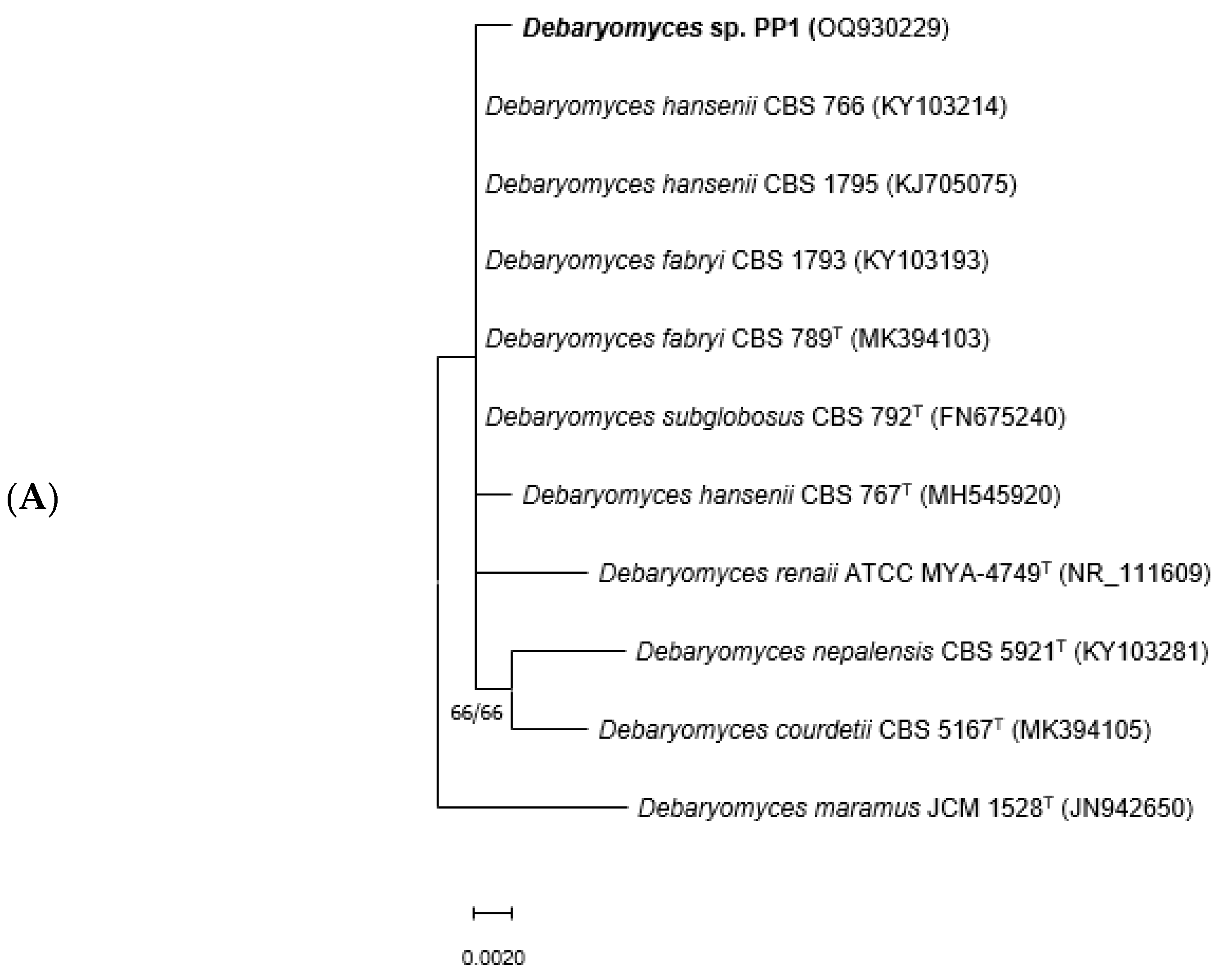 Microorganisms 11 02516 g001a Microorganisms 11 02516 g001a