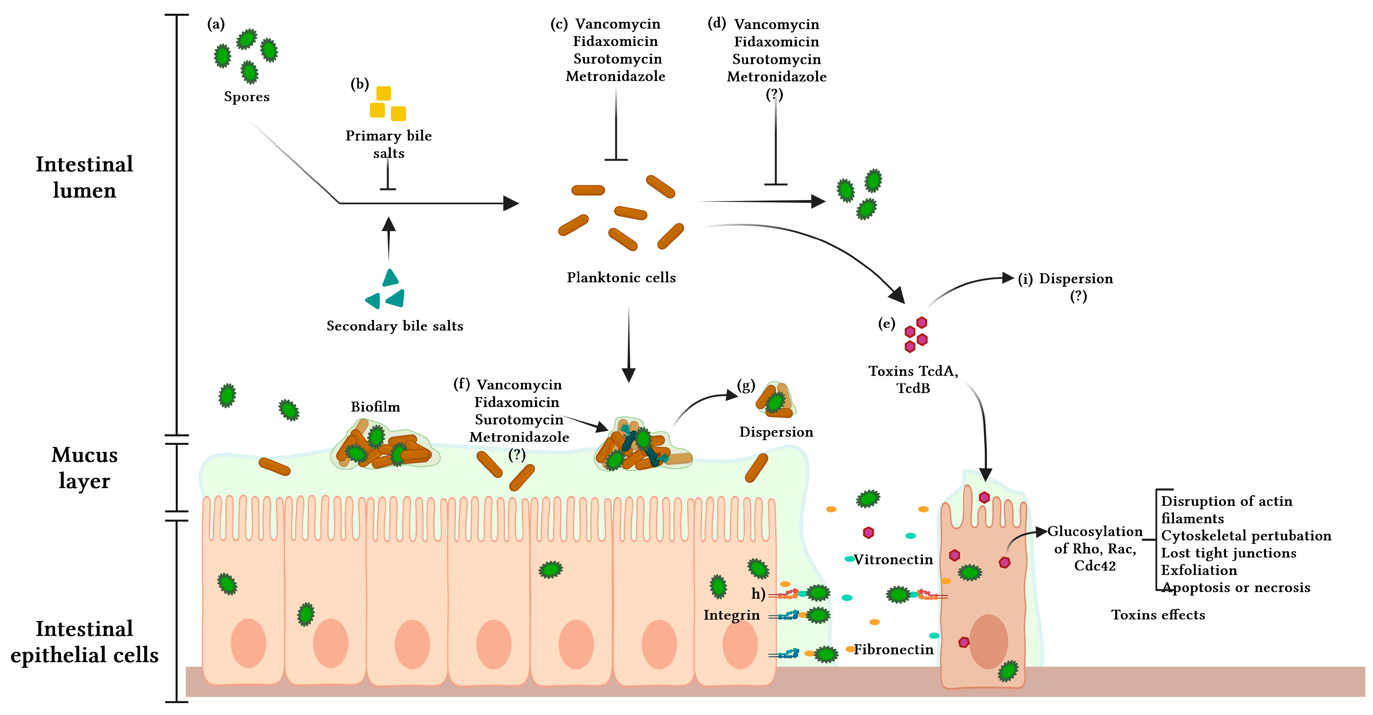 Microorganisms 11 02525 g001 Microorganisms 11 02525 g001