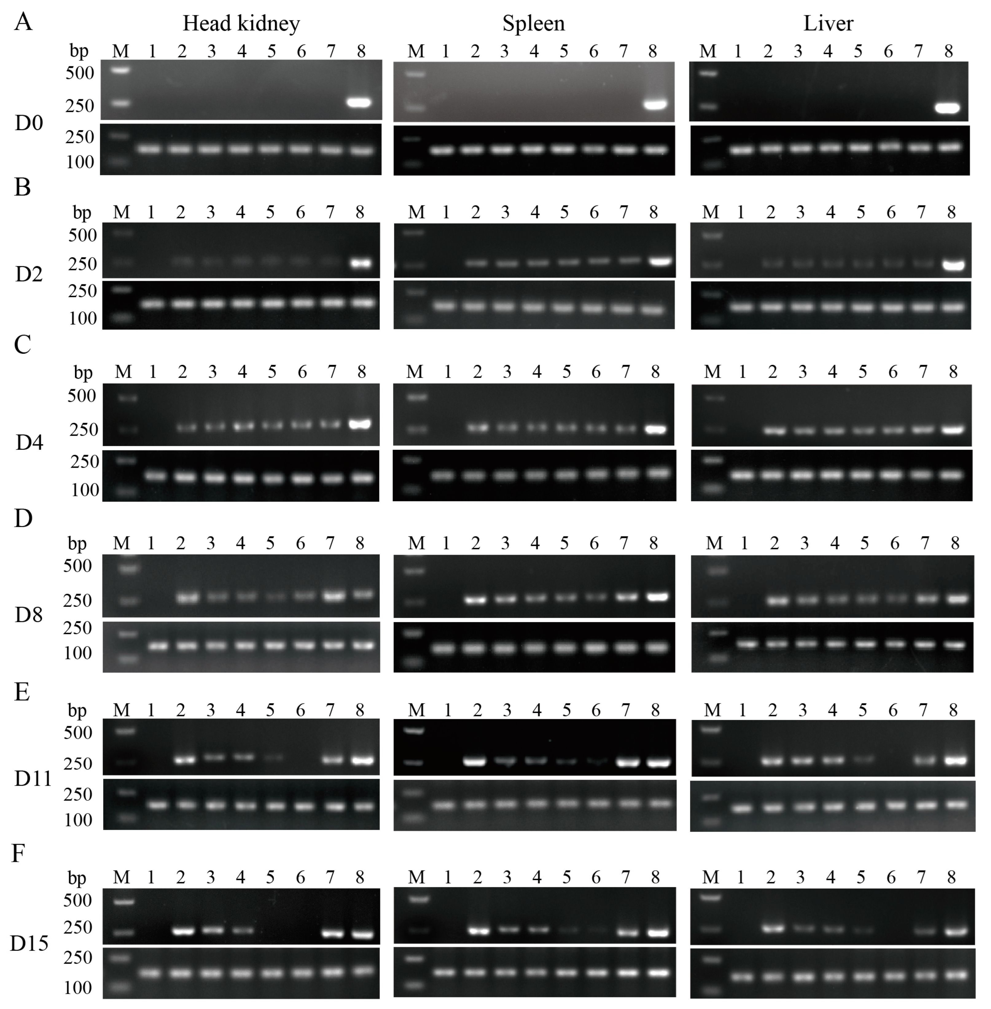Microorganisms 11 02529 g002