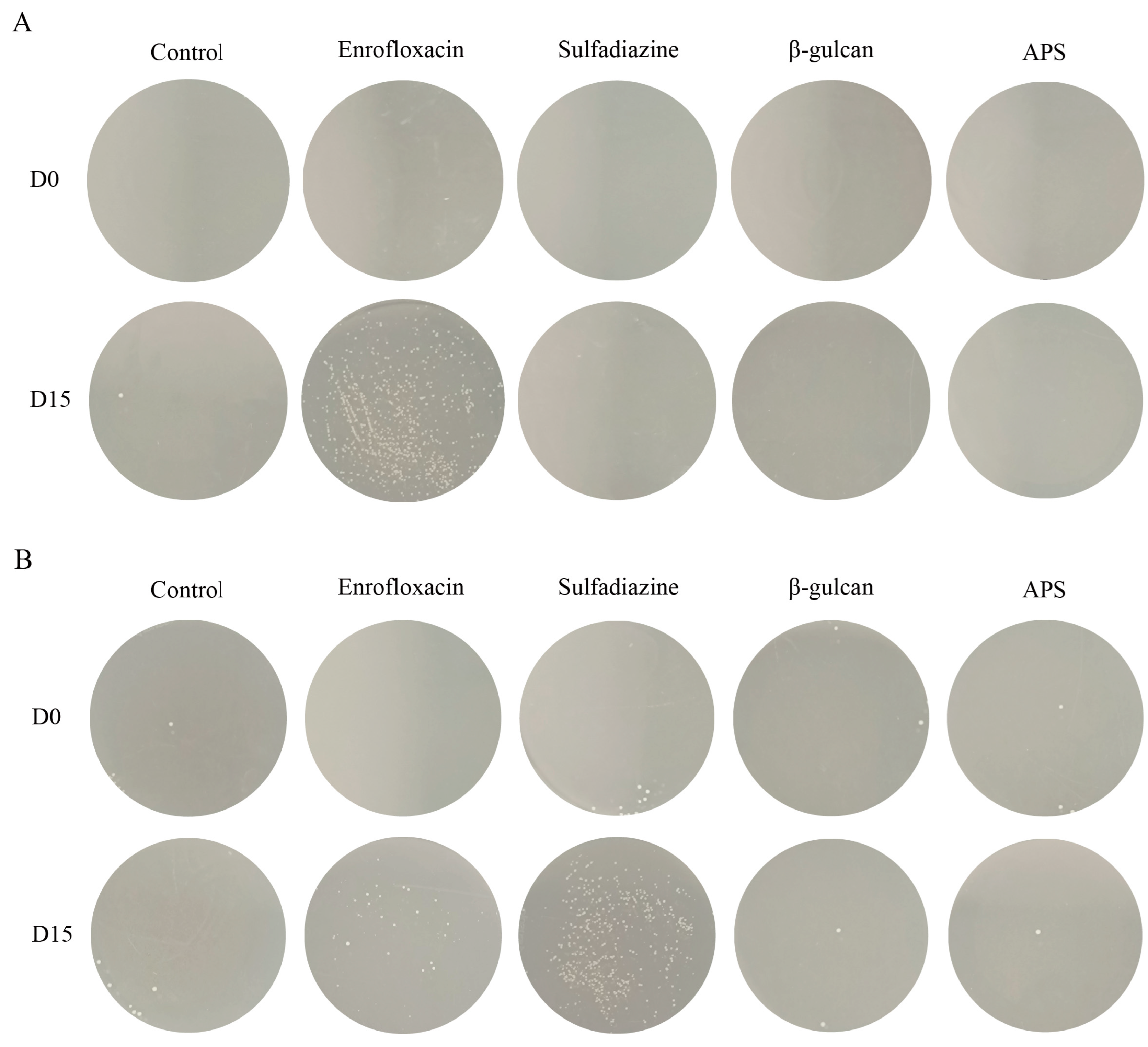 Microorganisms 11 02529 g008