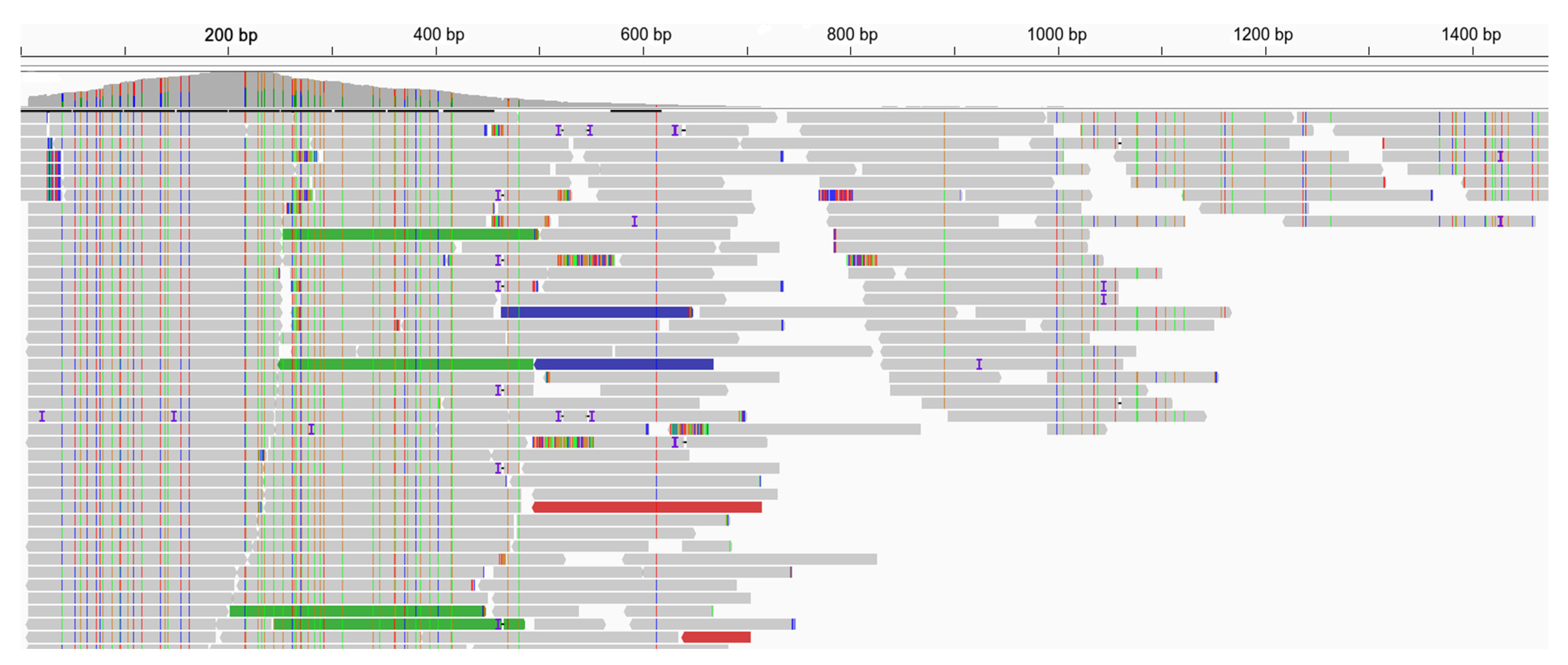 Microorganisms 11 02532 g006