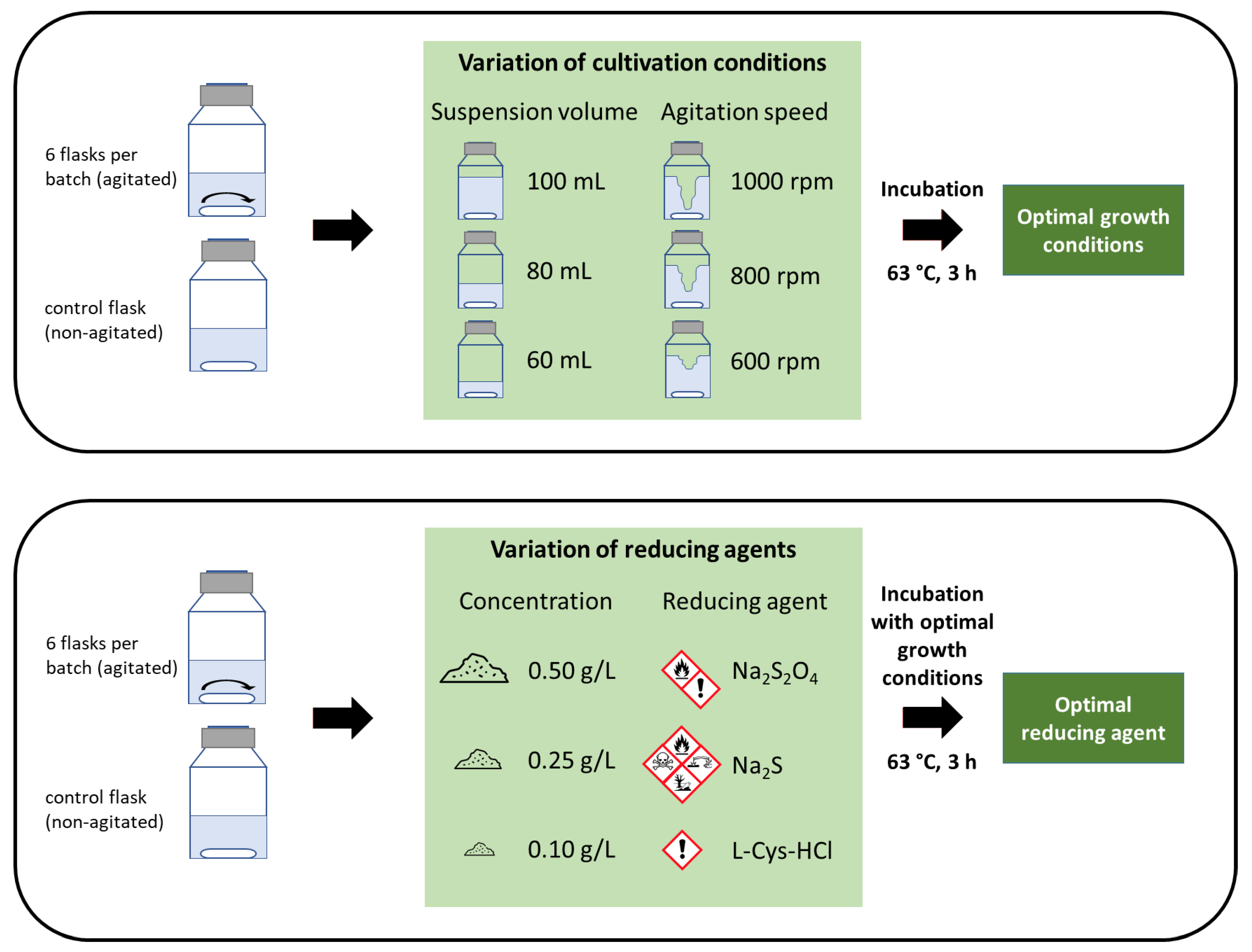 Microorganisms 11 02533 g001