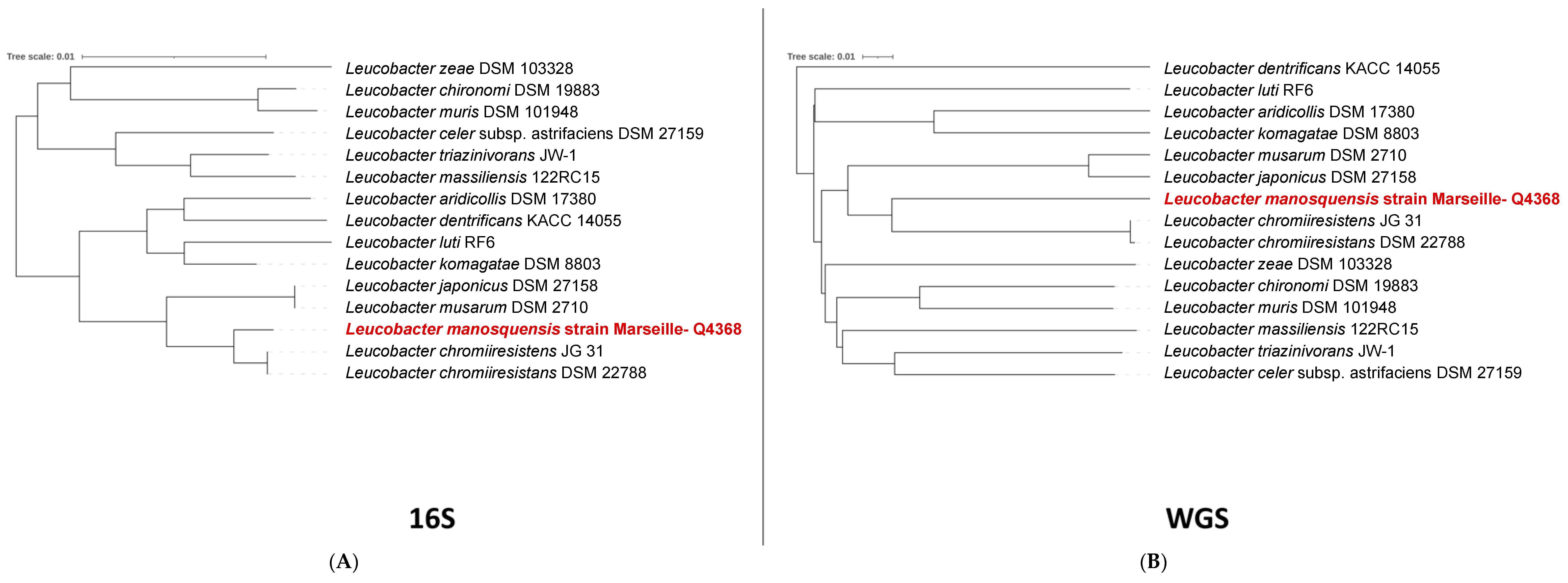 Microorganisms 11 02535 g001