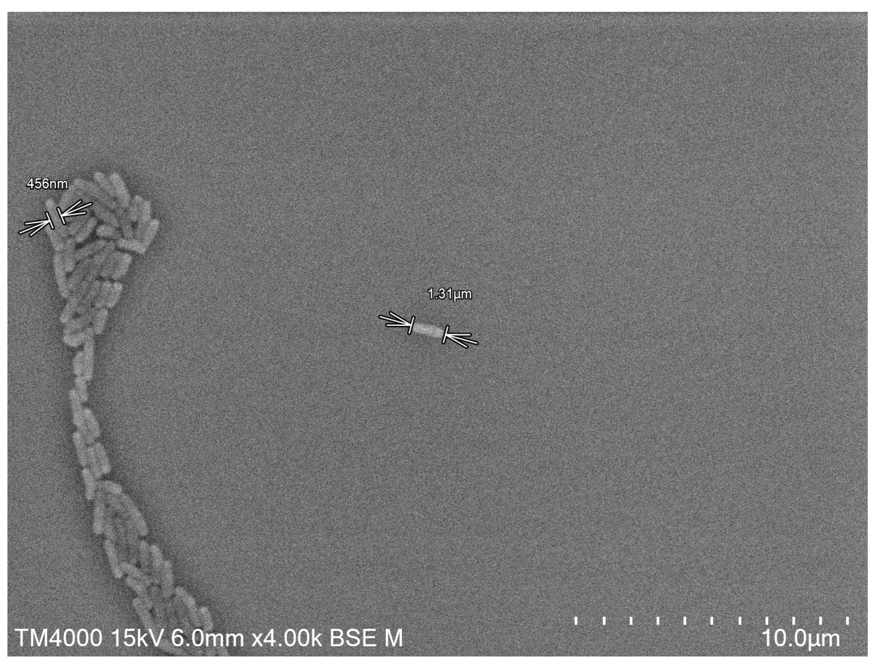 Microorganisms 11 02535 g002