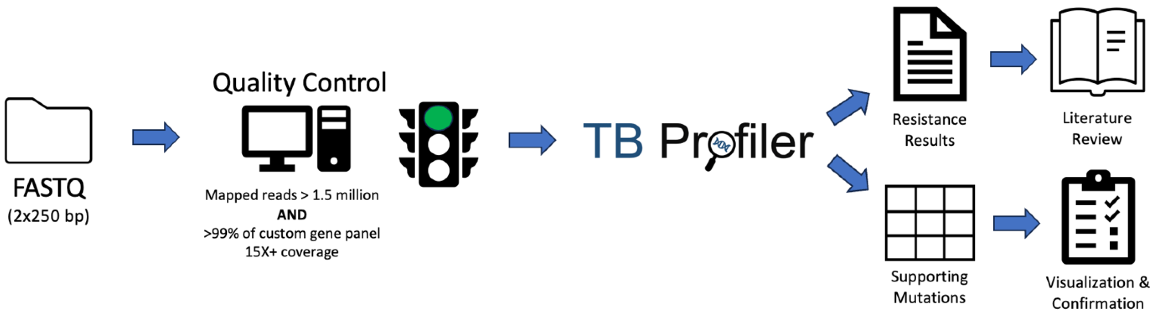 Microorganisms 11 02538 g001