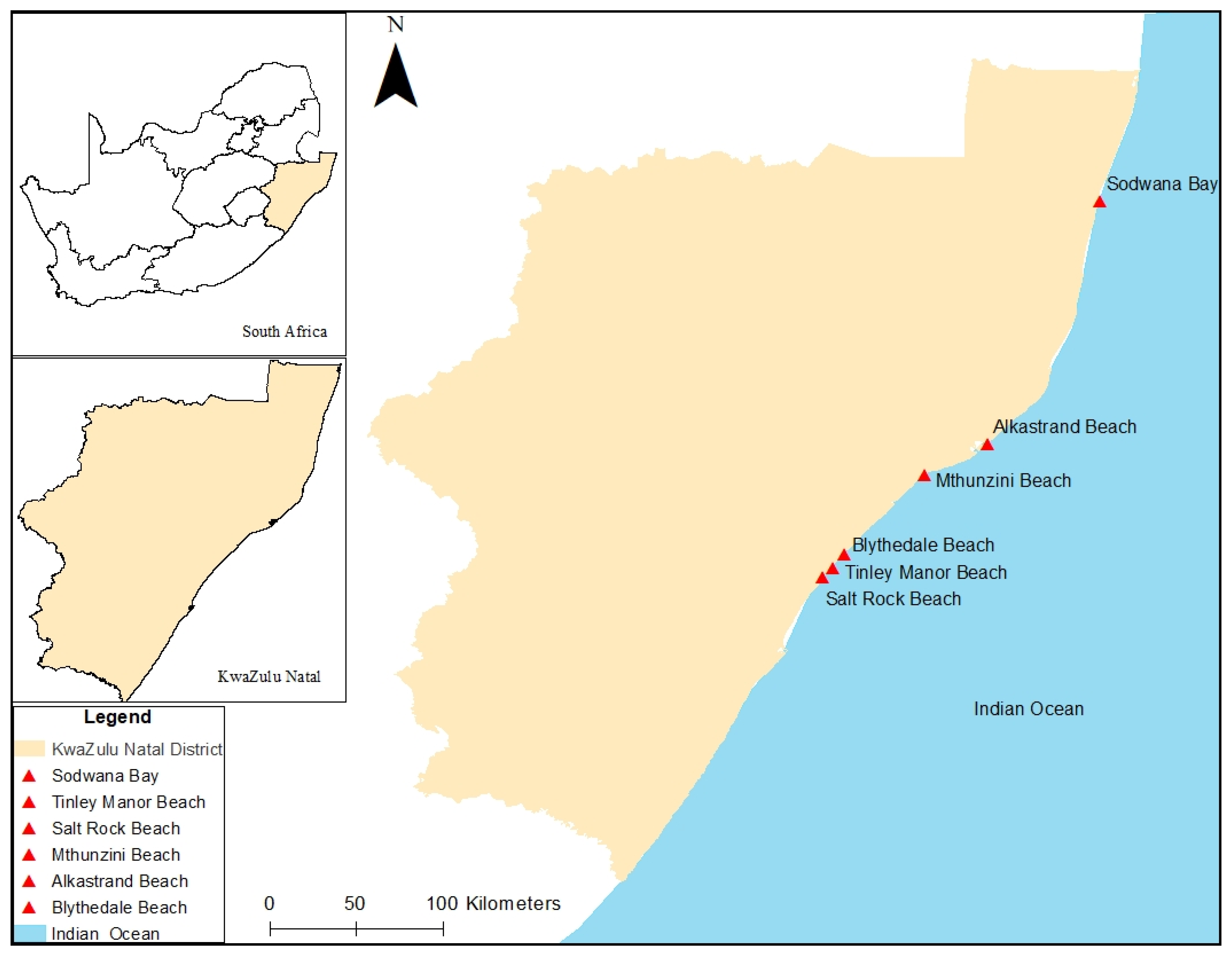 Microorganisms 11 02539 g001