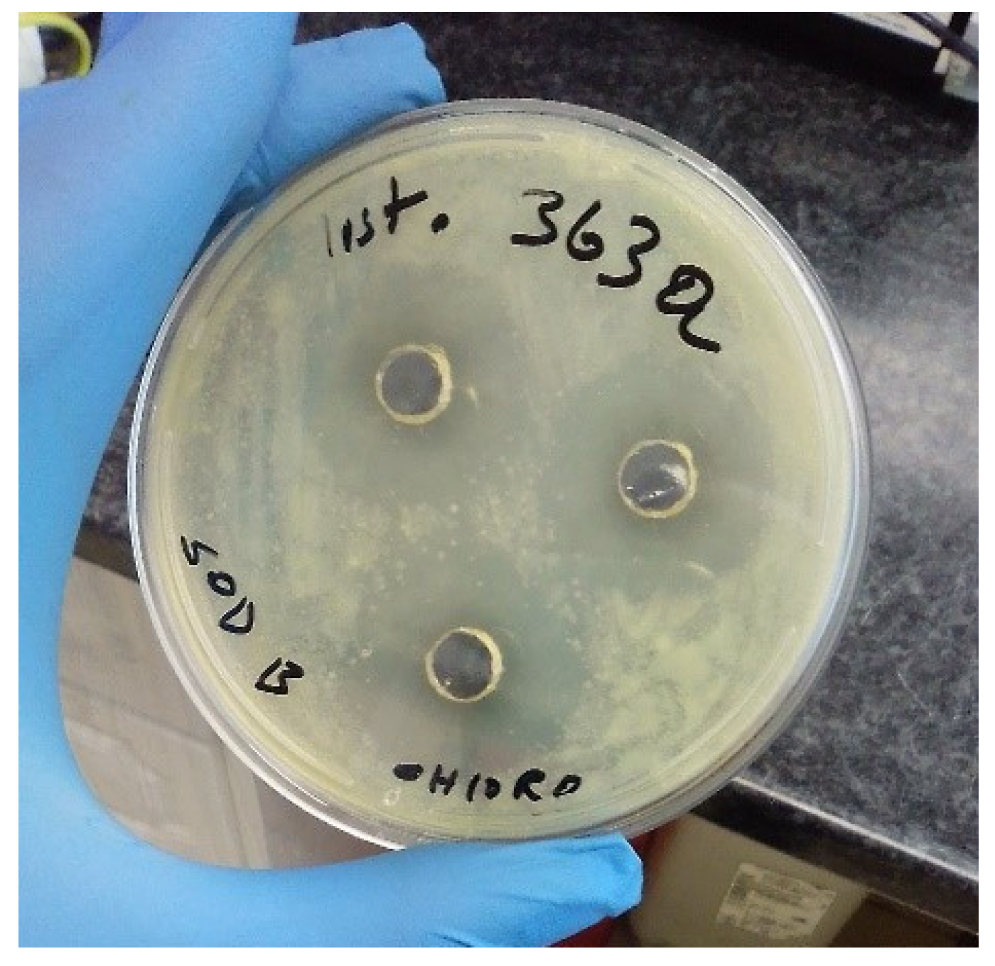 Microorganisms 11 02539 g003