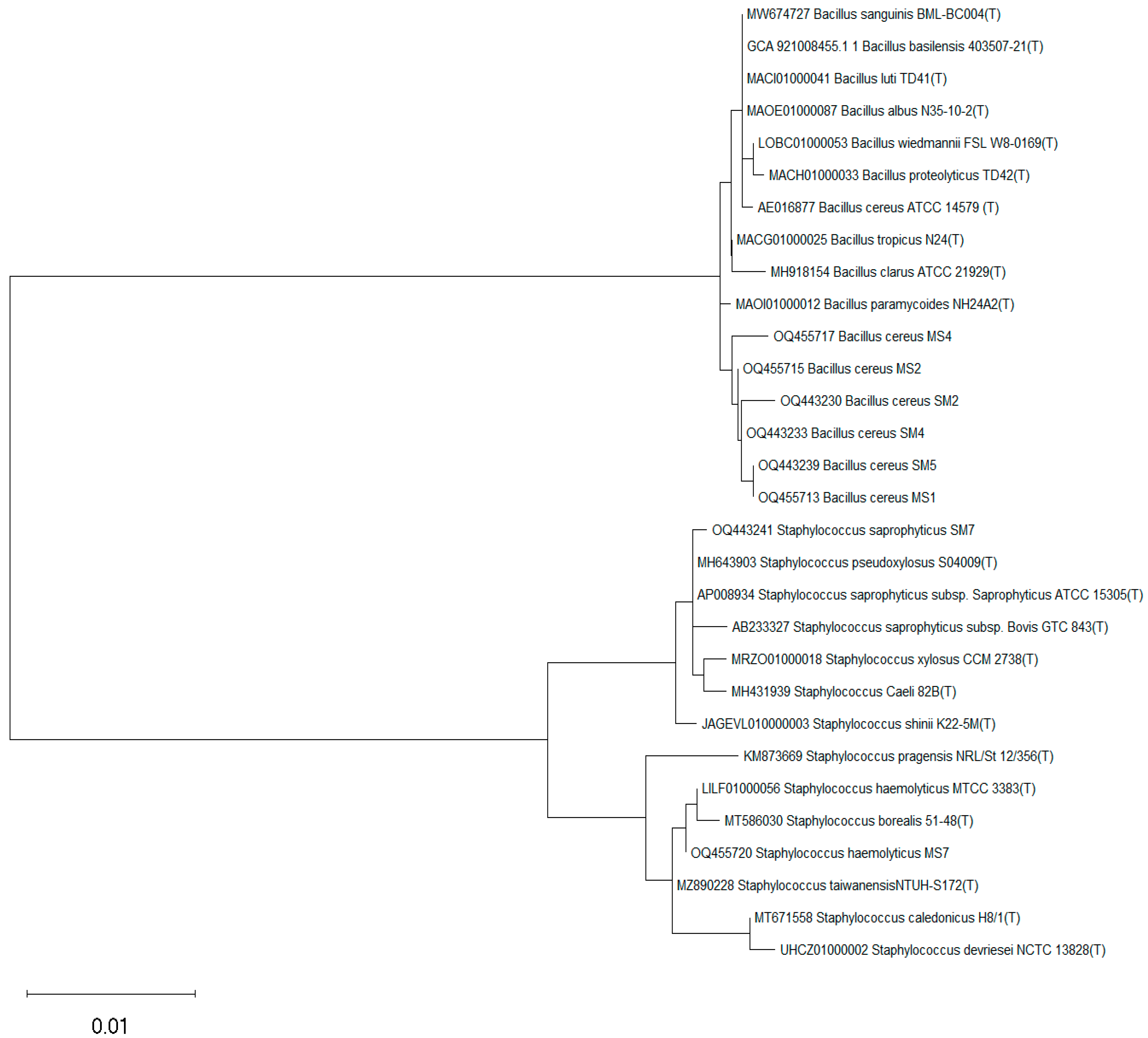 Microorganisms 11 02543 g007