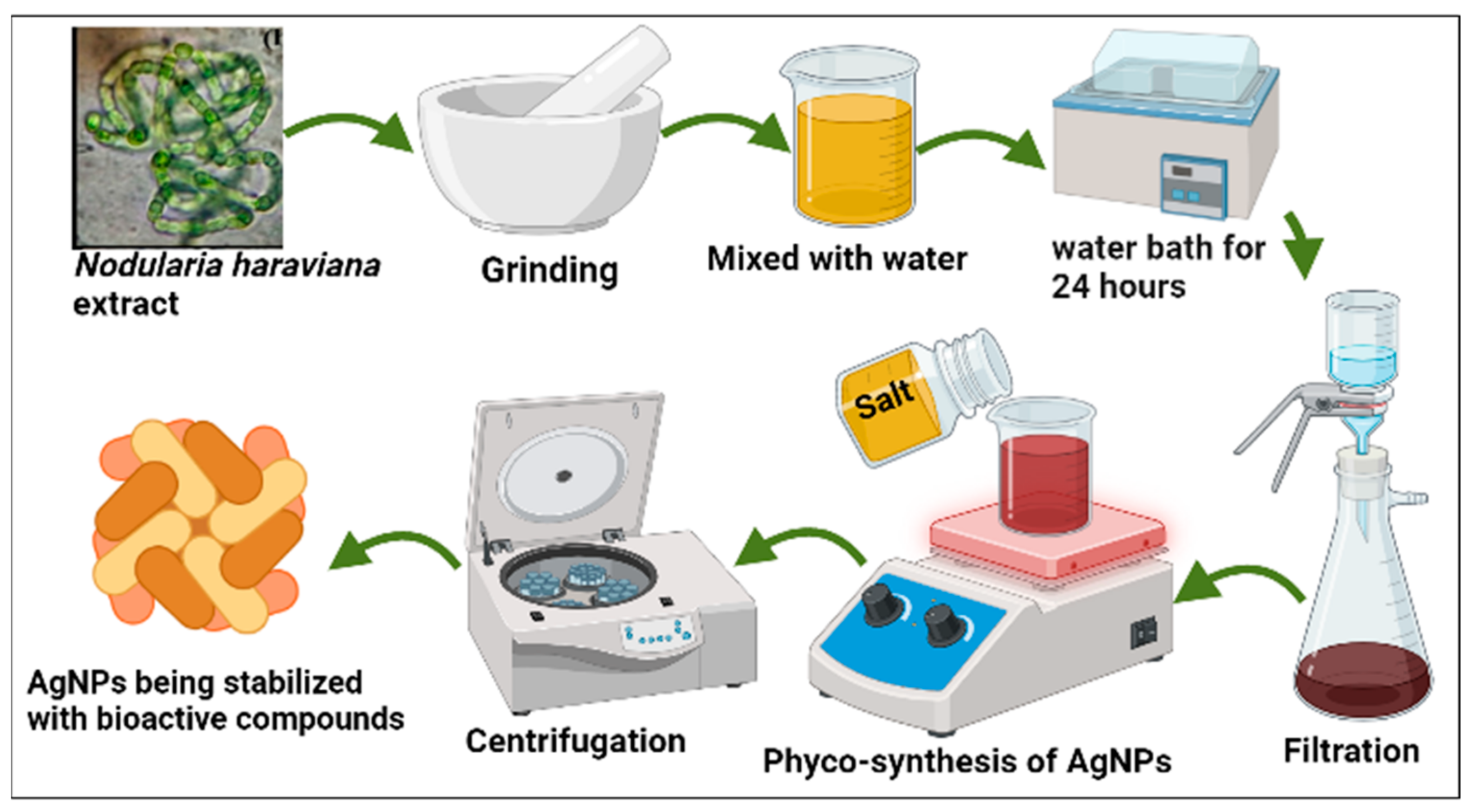 Microorganisms 11 02544 g001