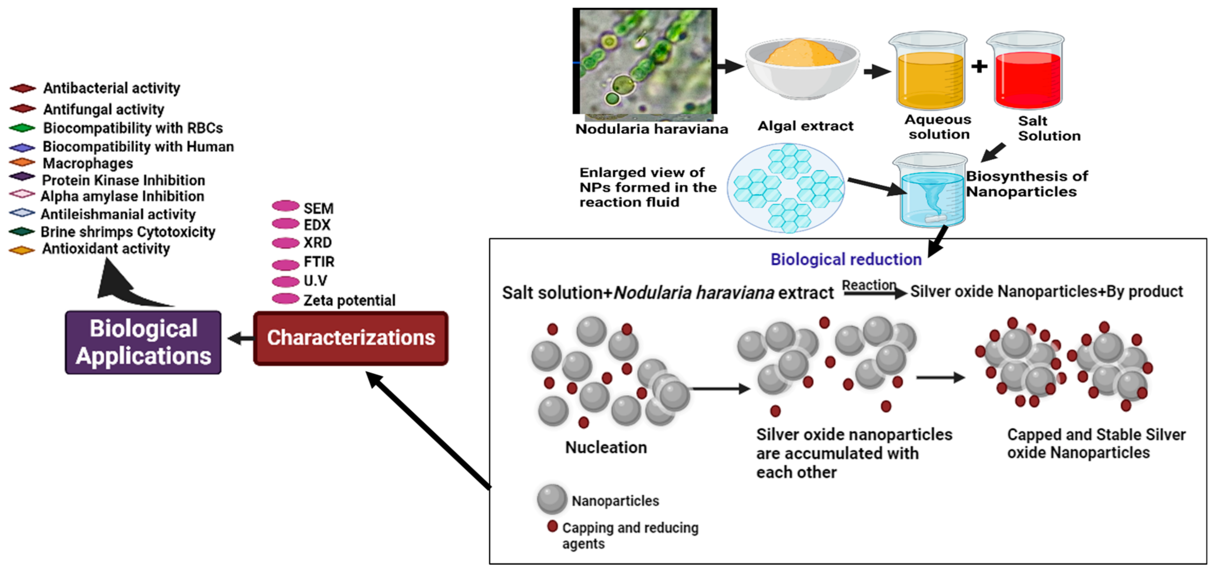 Microorganisms 11 02544 g002