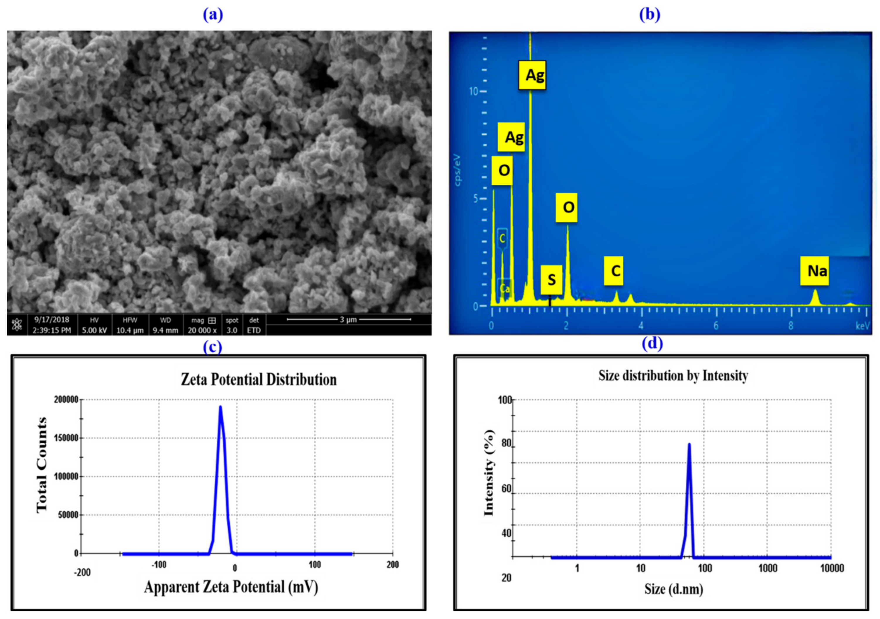 Microorganisms 11 02544 g005