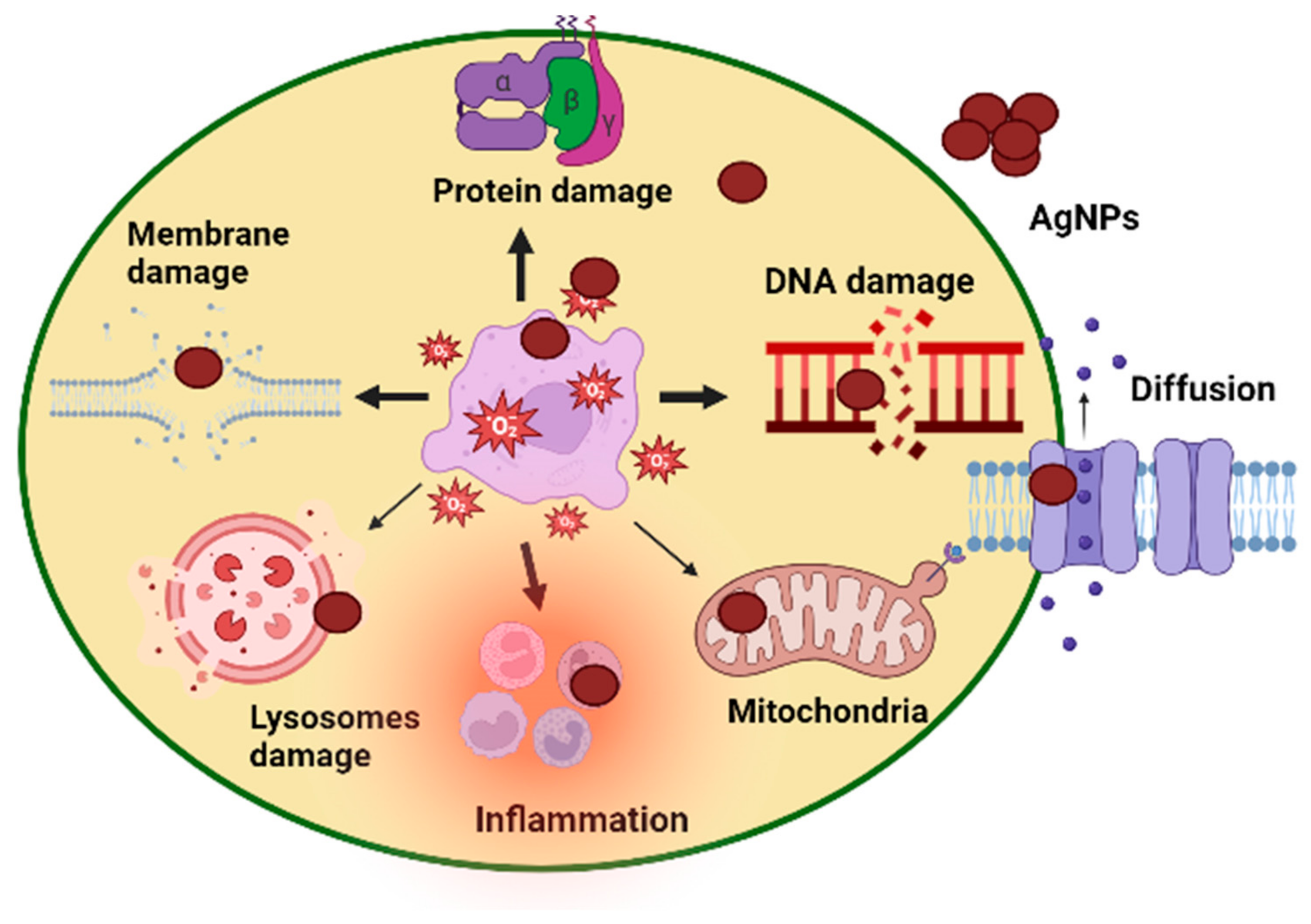 Microorganisms 11 02544 g008