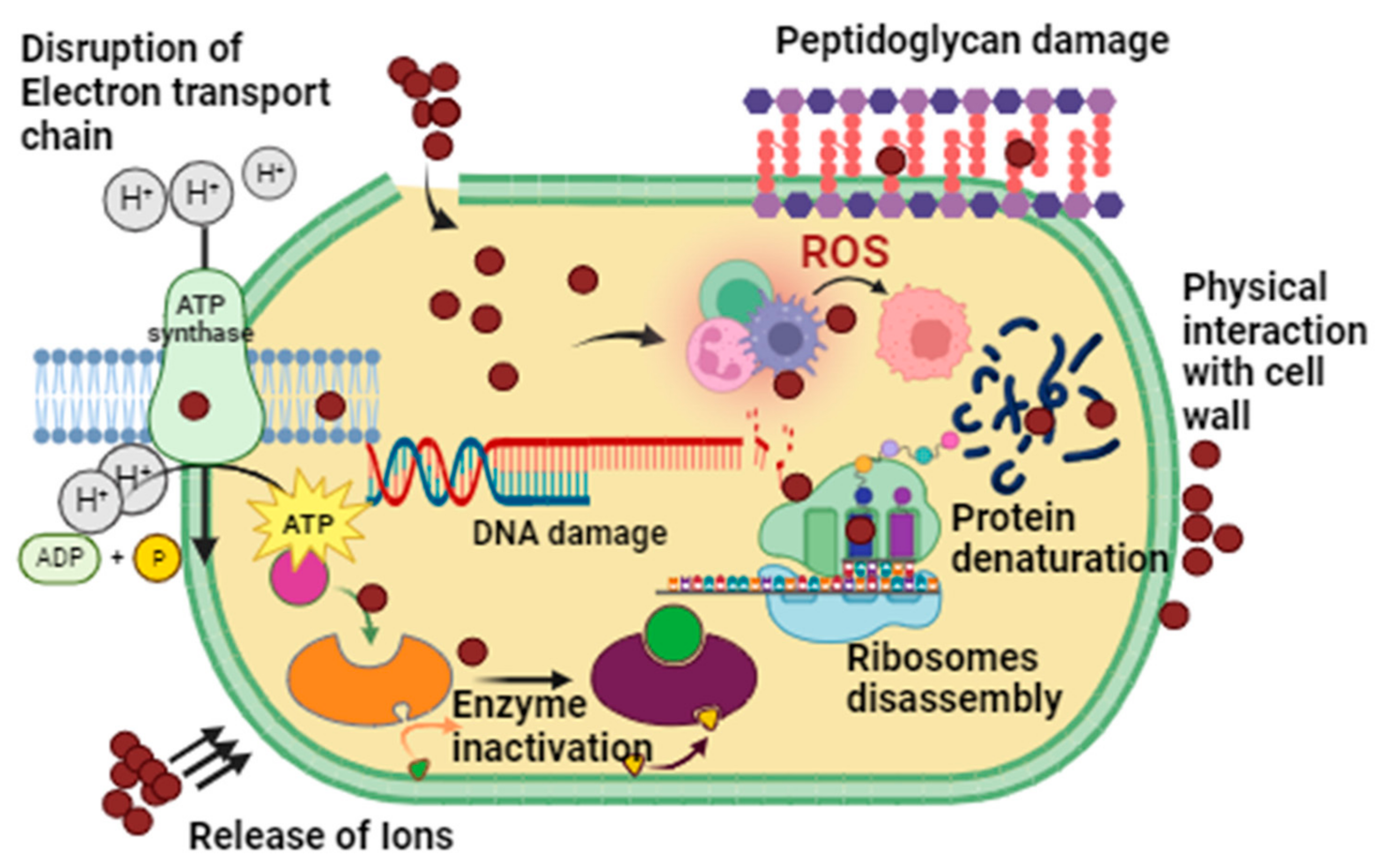 Microorganisms 11 02544 g011