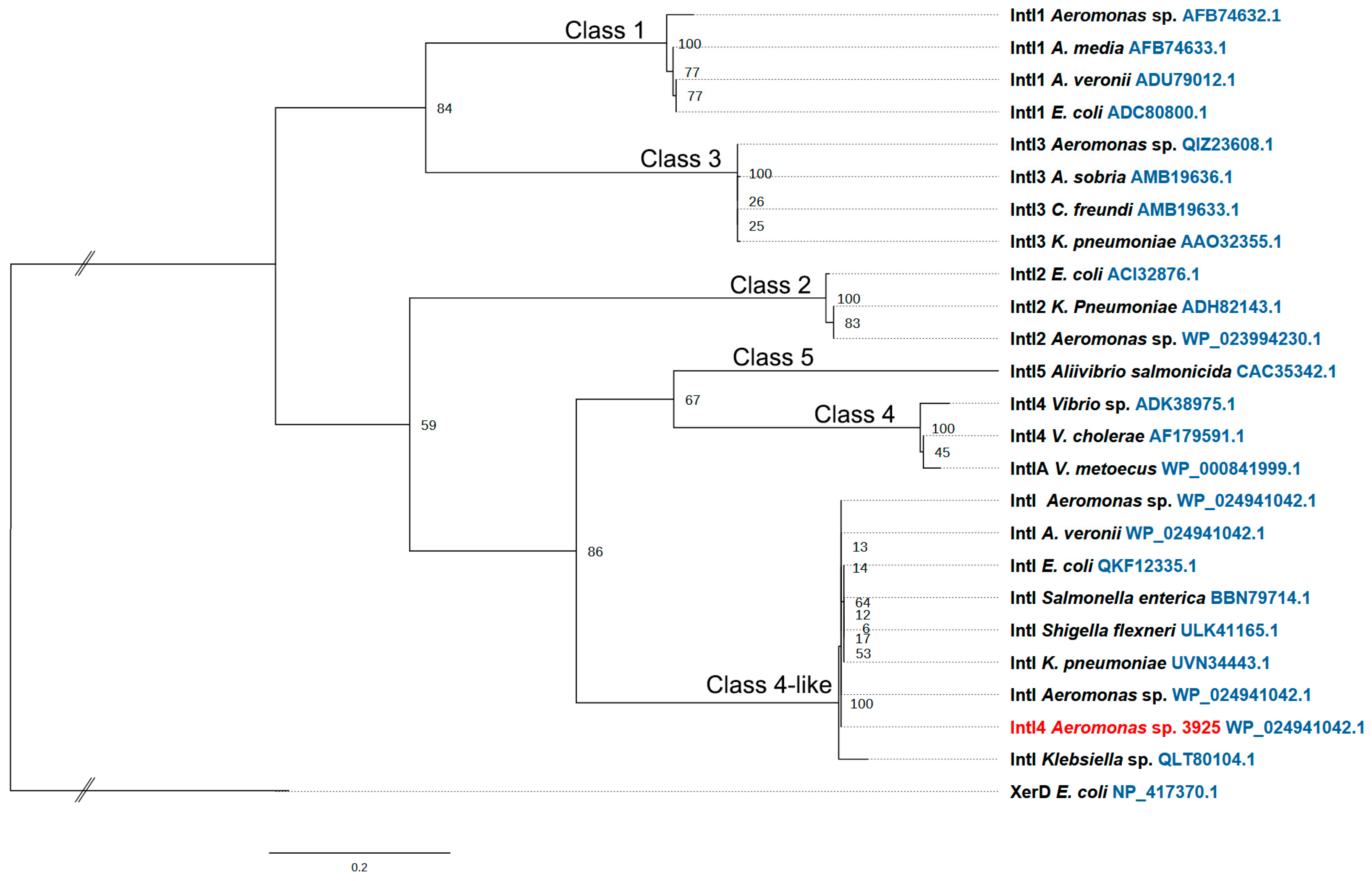 Microorganisms 11 02548 g003