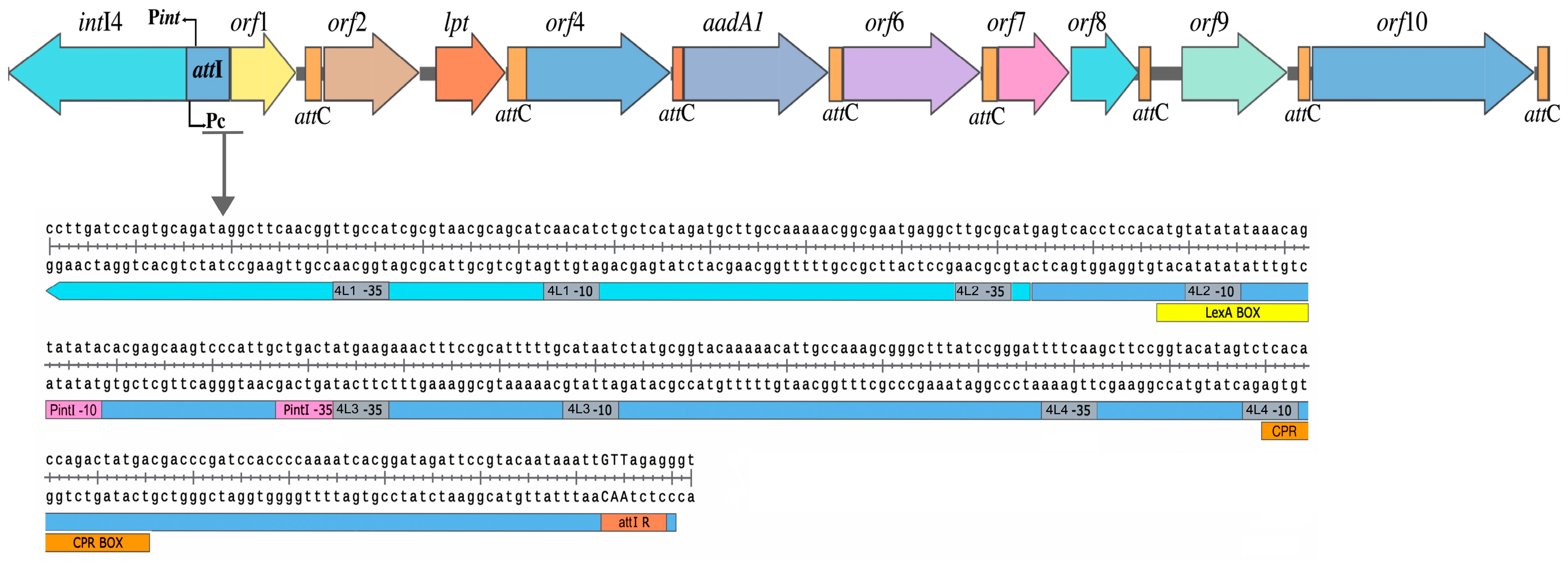 Microorganisms 11 02548 g004
