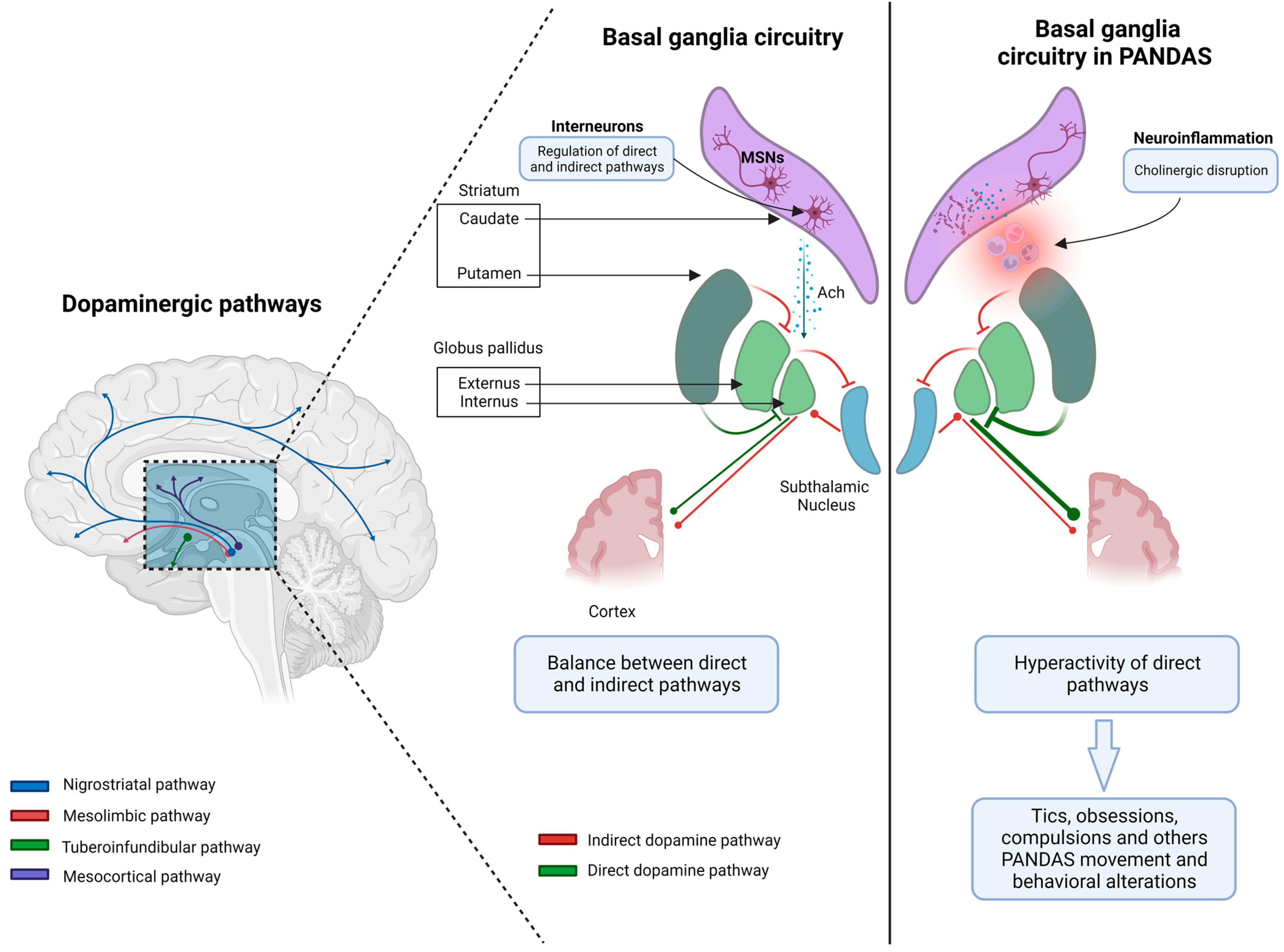 Microorganisms 11 02549 g001