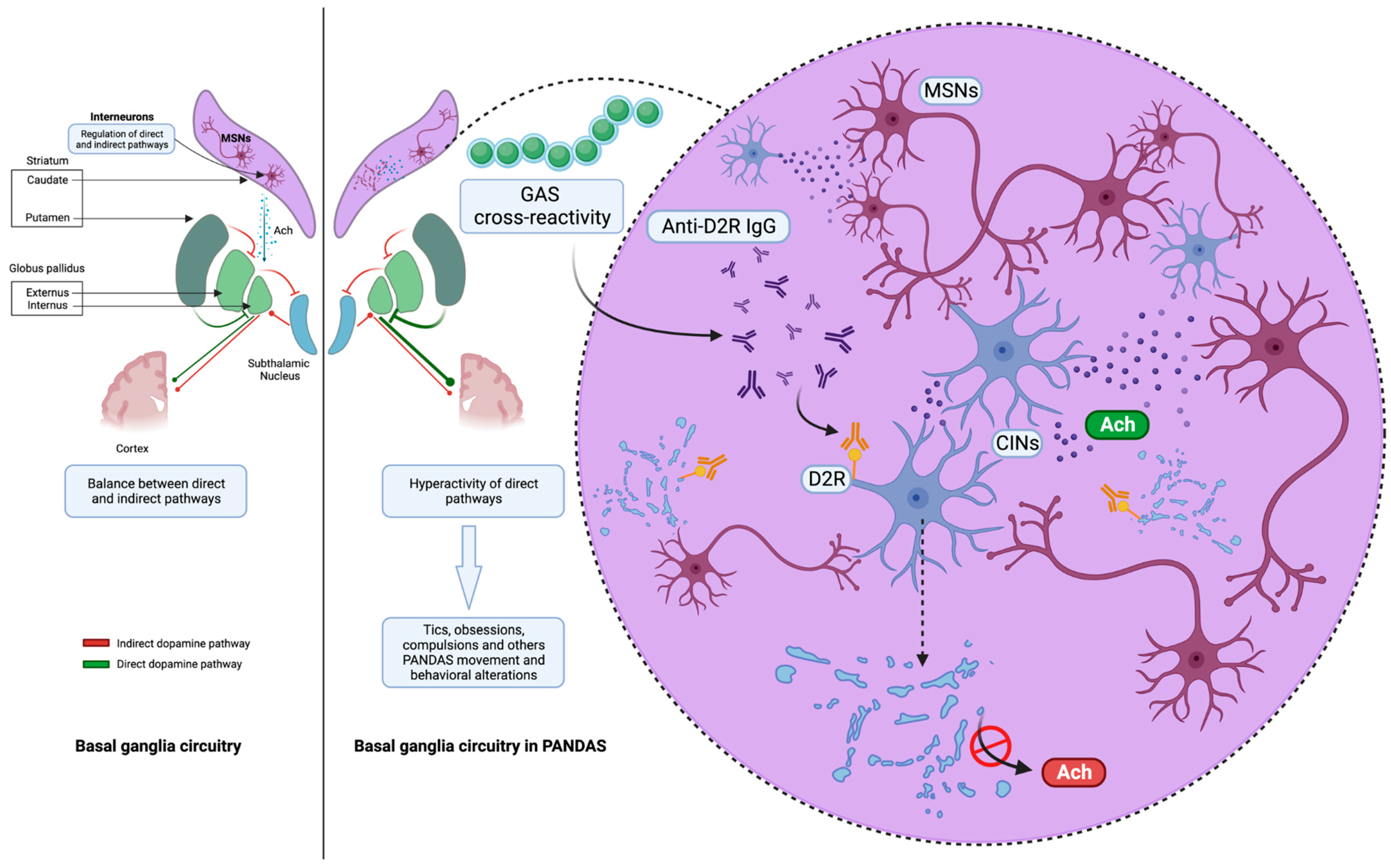 Microorganisms 11 02549 g002