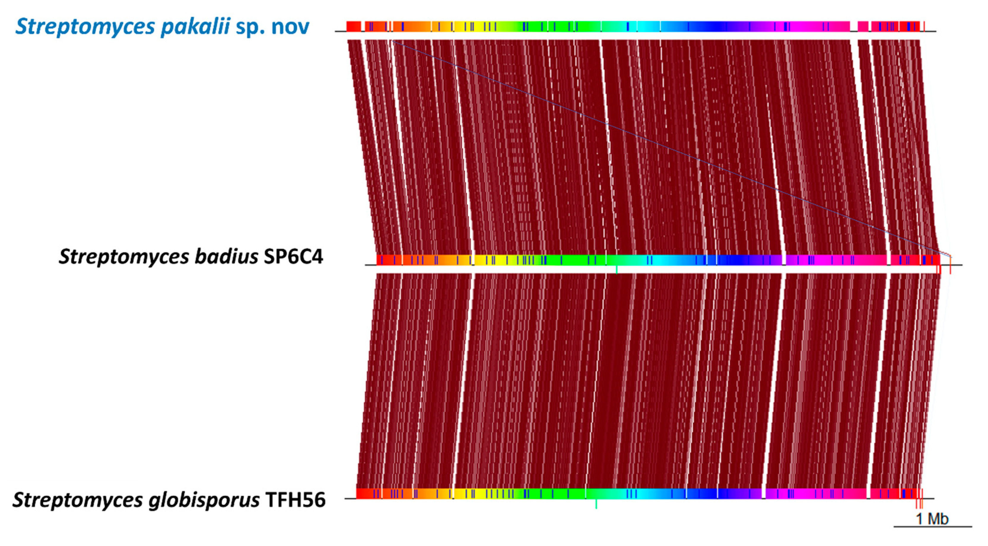 Microorganisms 11 02551 g006