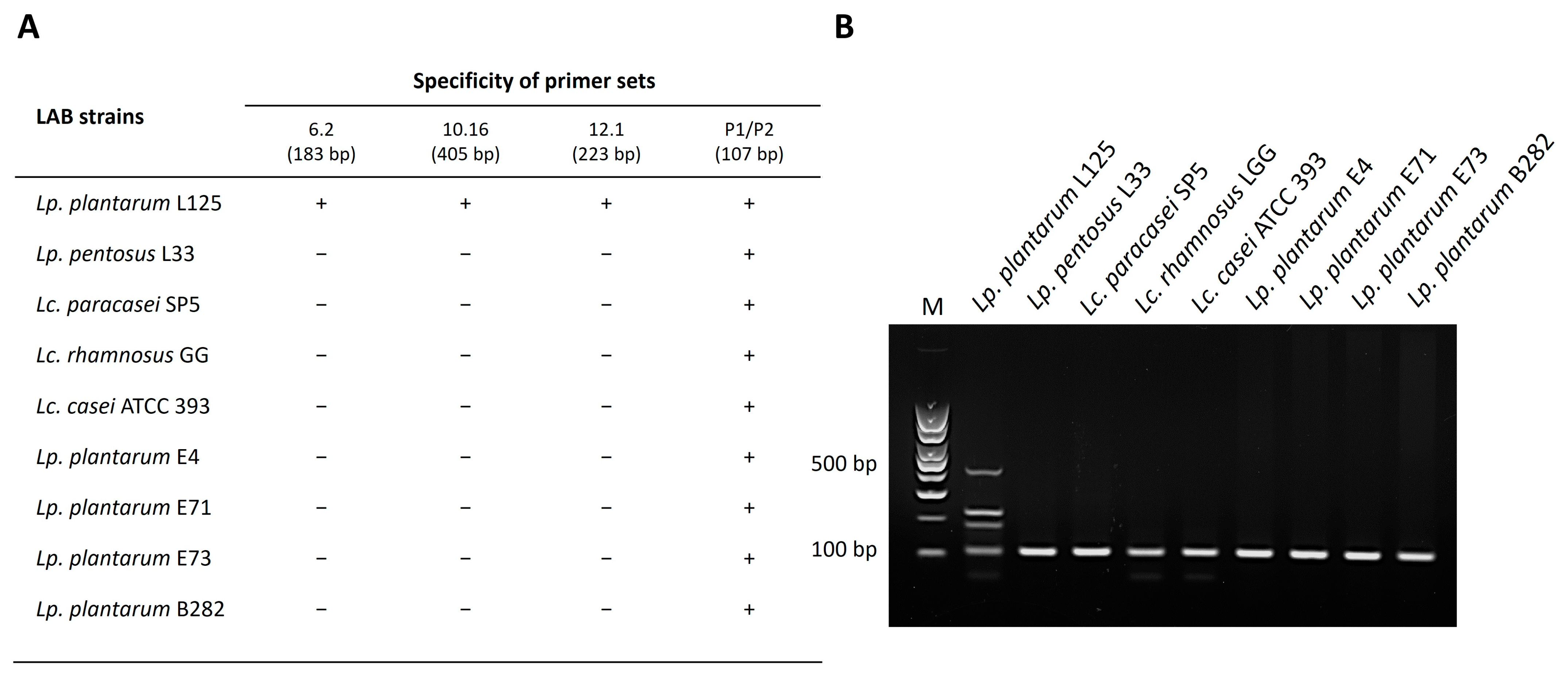 Microorganisms 11 02553 g003