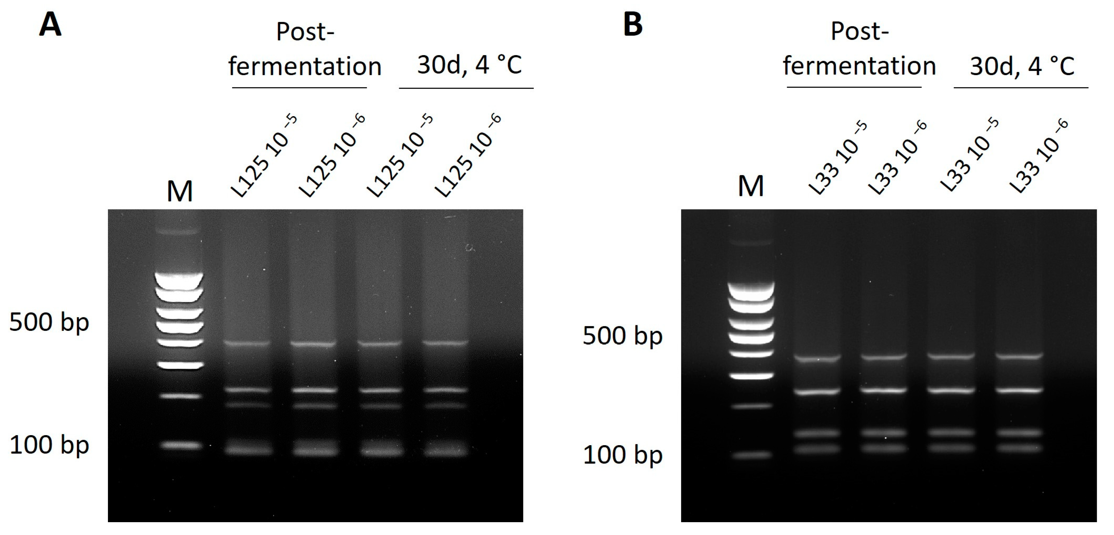 Microorganisms 11 02553 g005