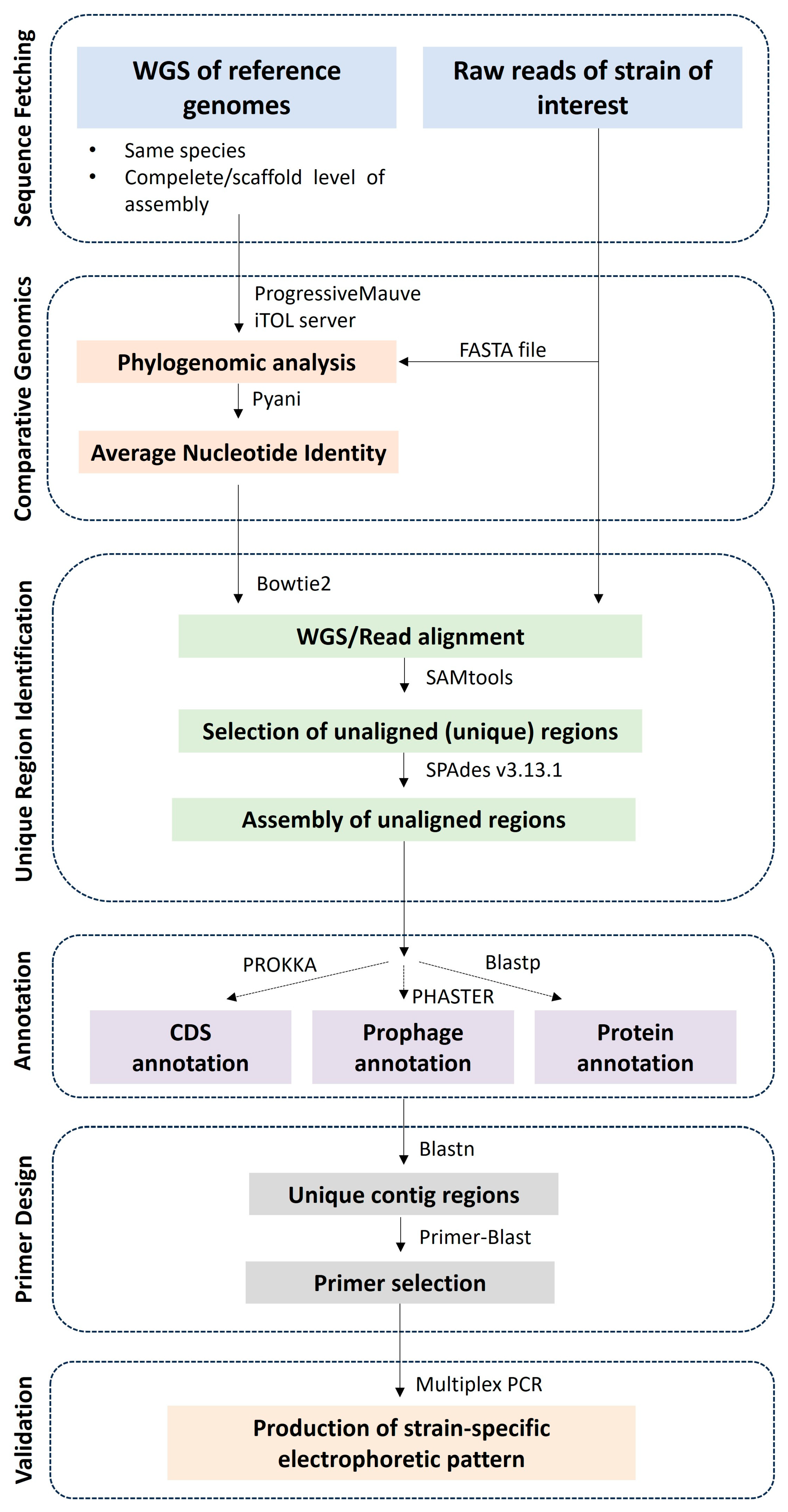 Microorganisms 11 02553 g006