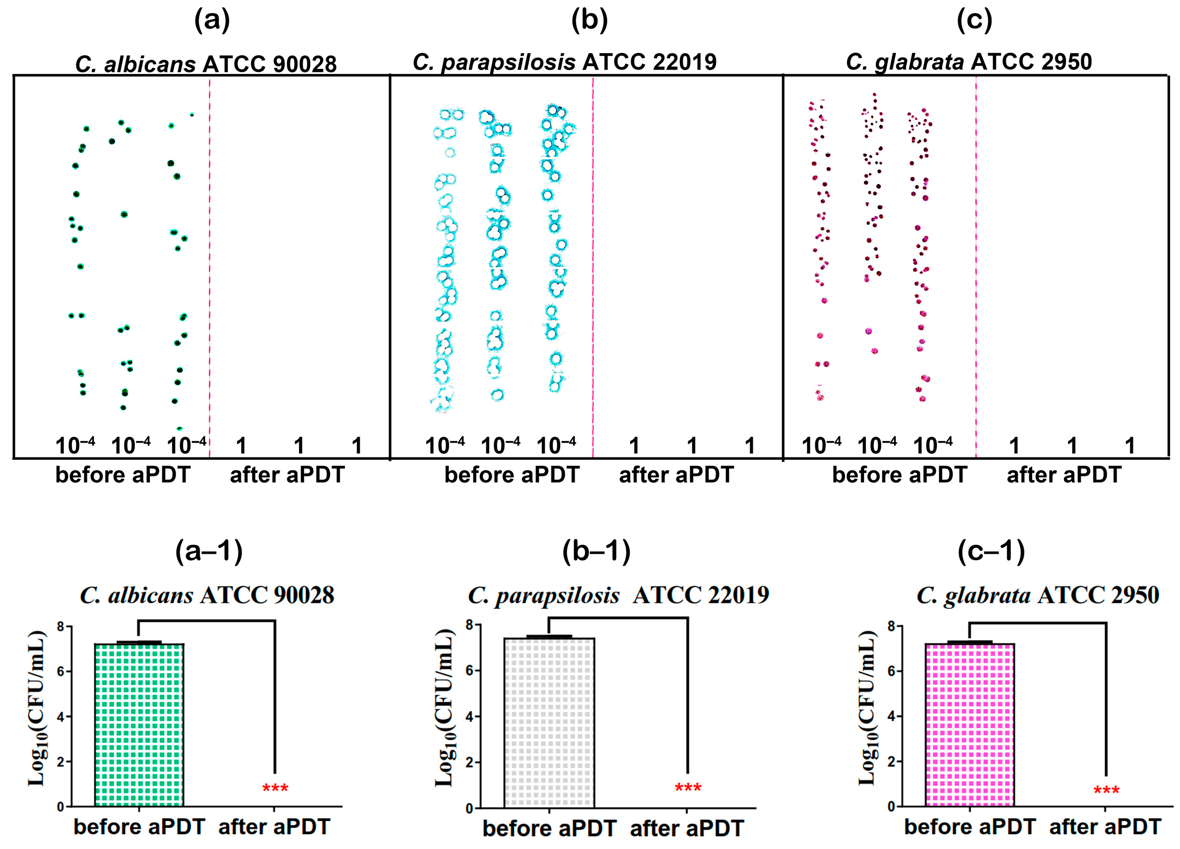 Microorganisms 11 02557 g009