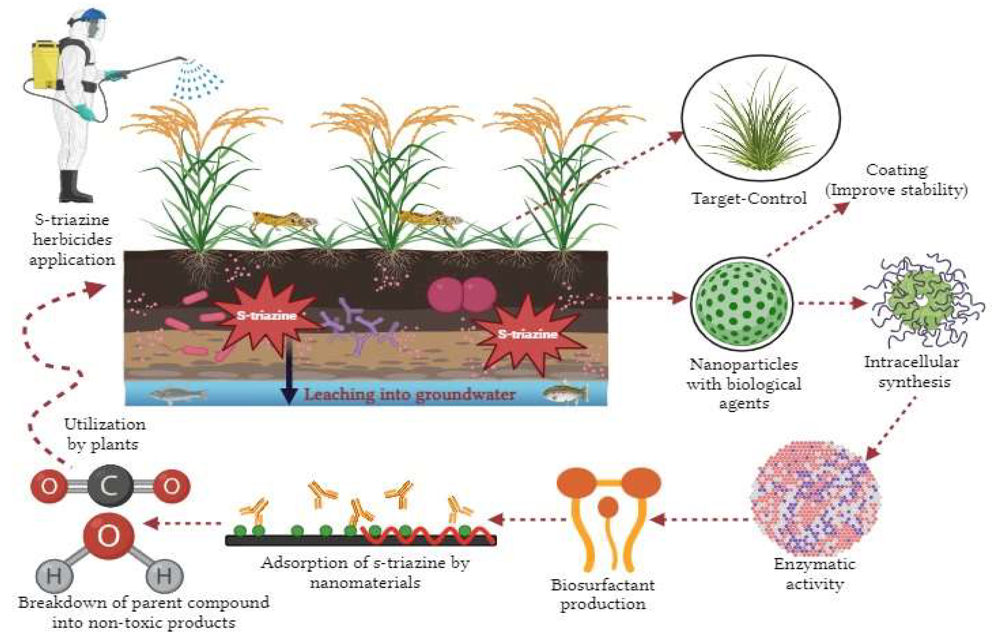 Microorganisms 11 02558 g004