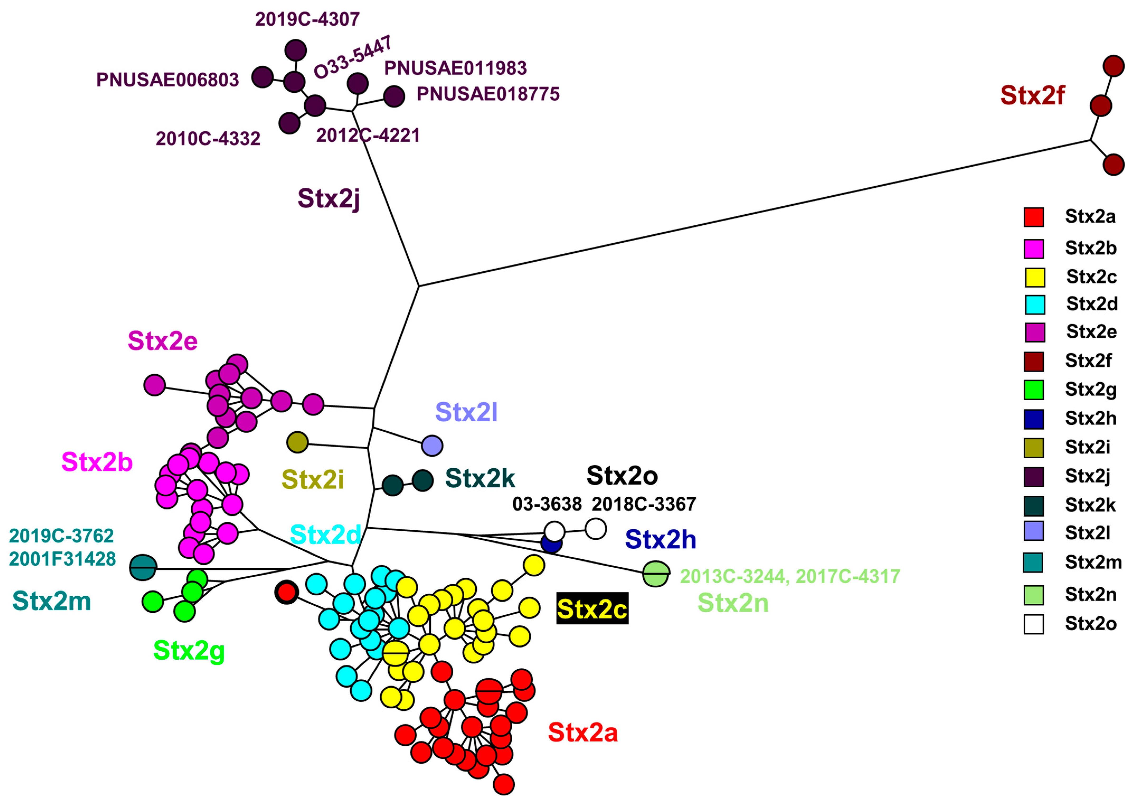 Microorganisms 11 02561 g001