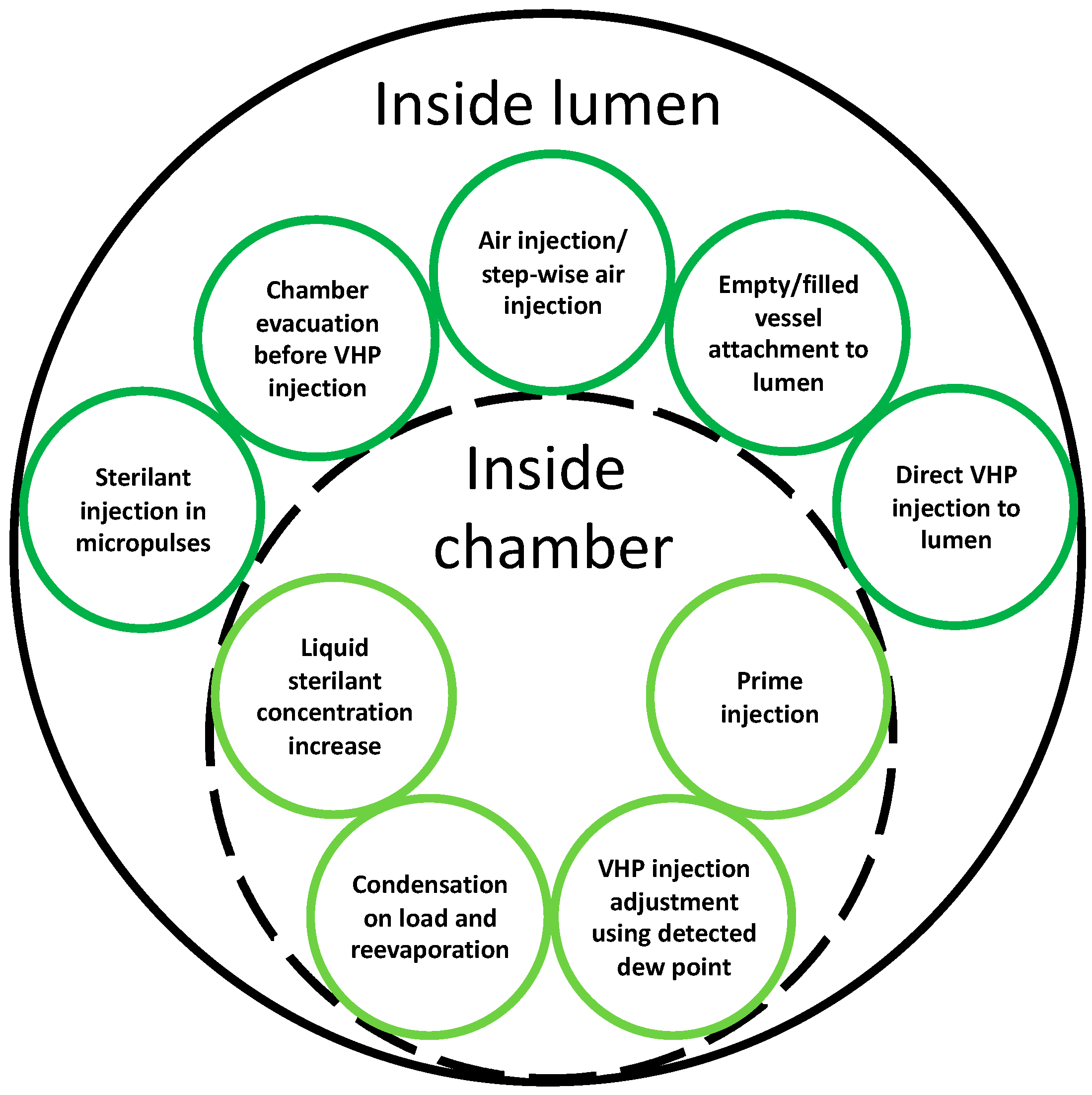 Microorganisms 11 02566 g002