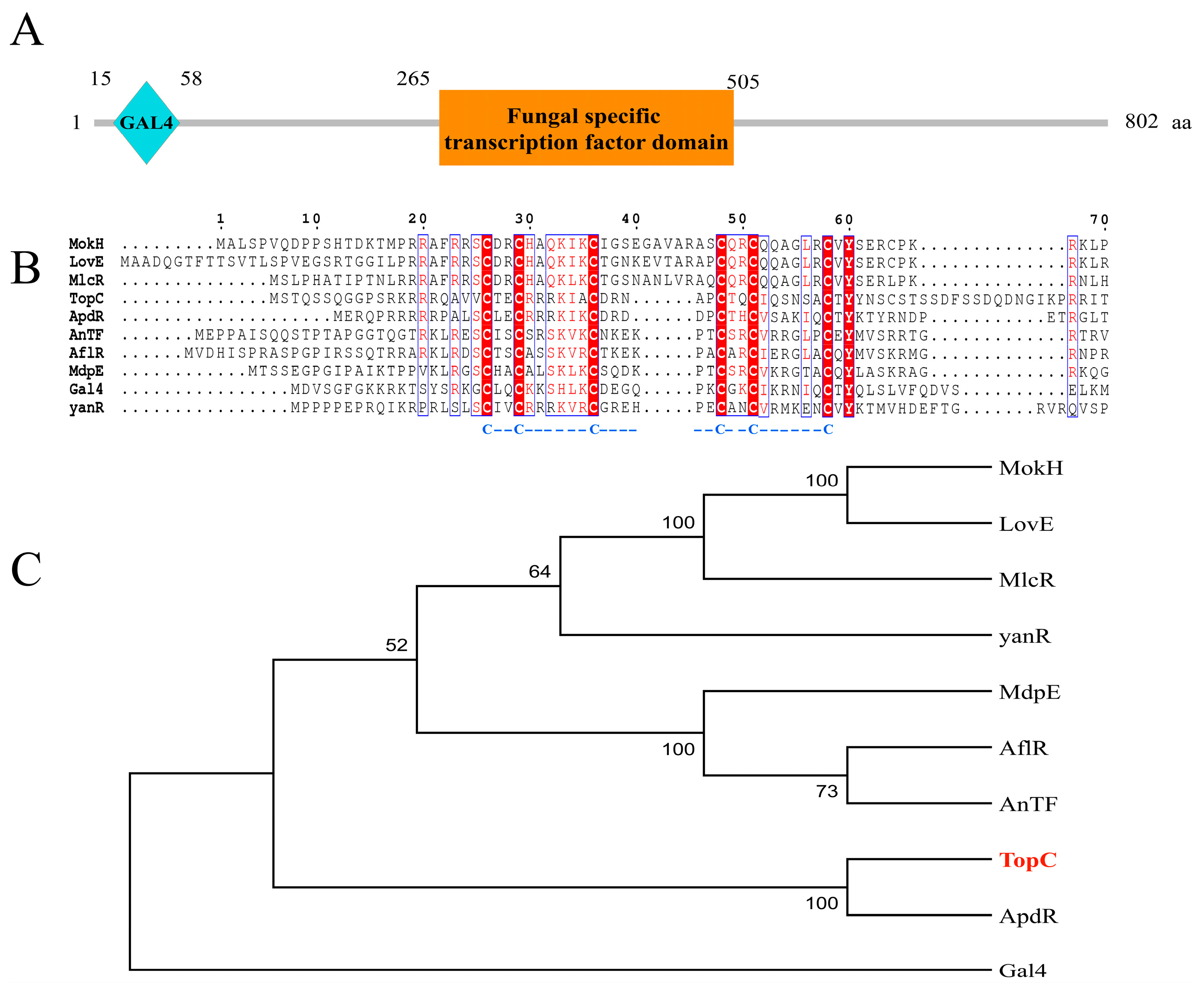 Microorganisms 11 02578 g001