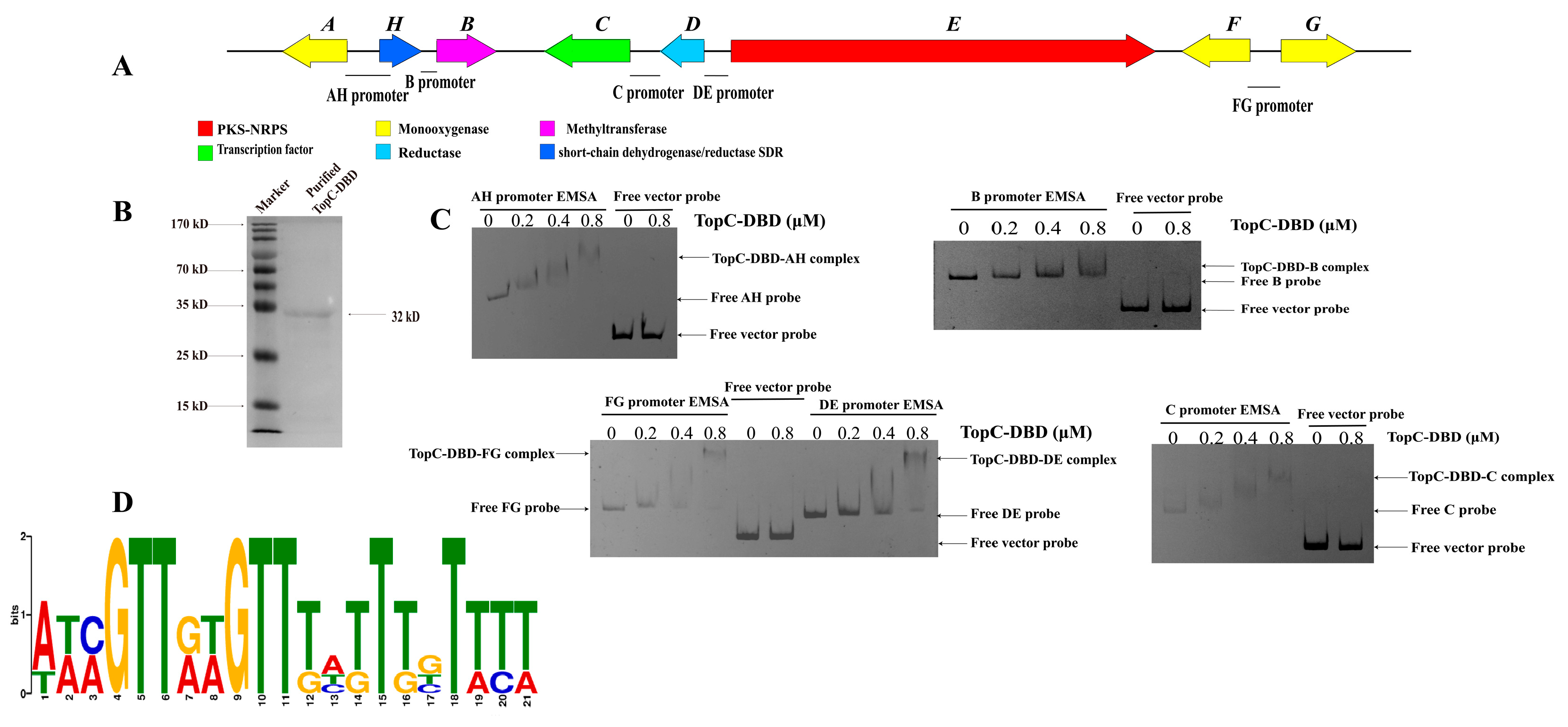 Microorganisms 11 02578 g005