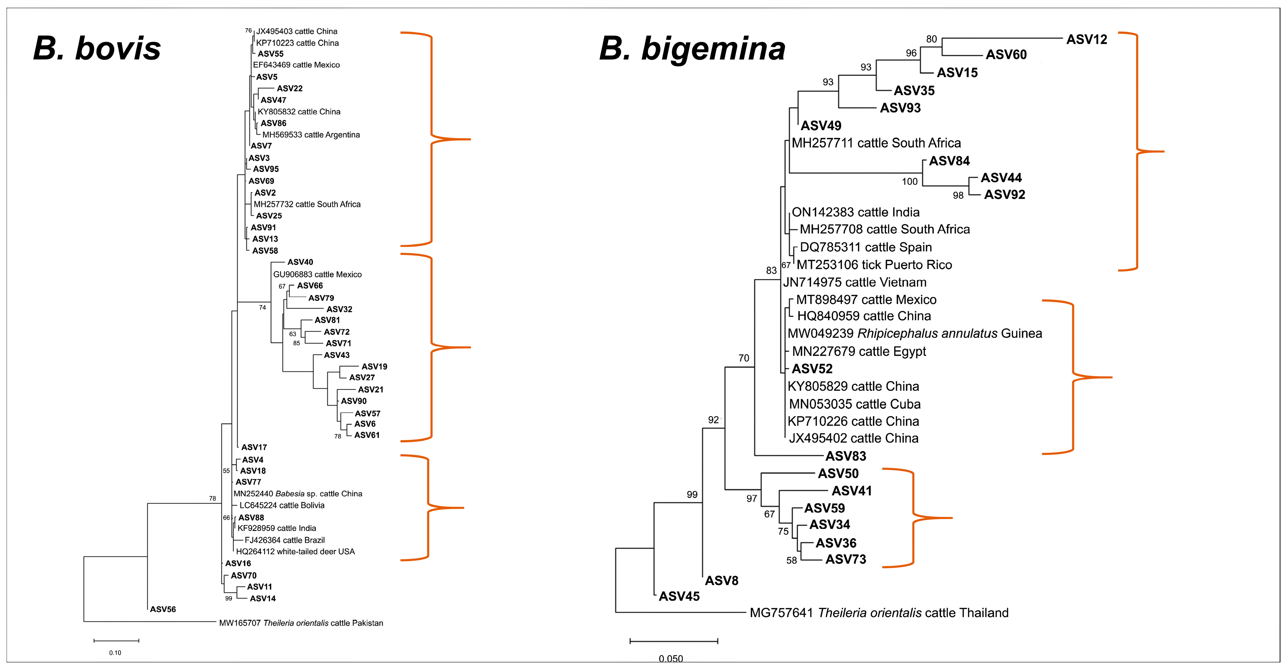 Microorganisms 11 02584 g002