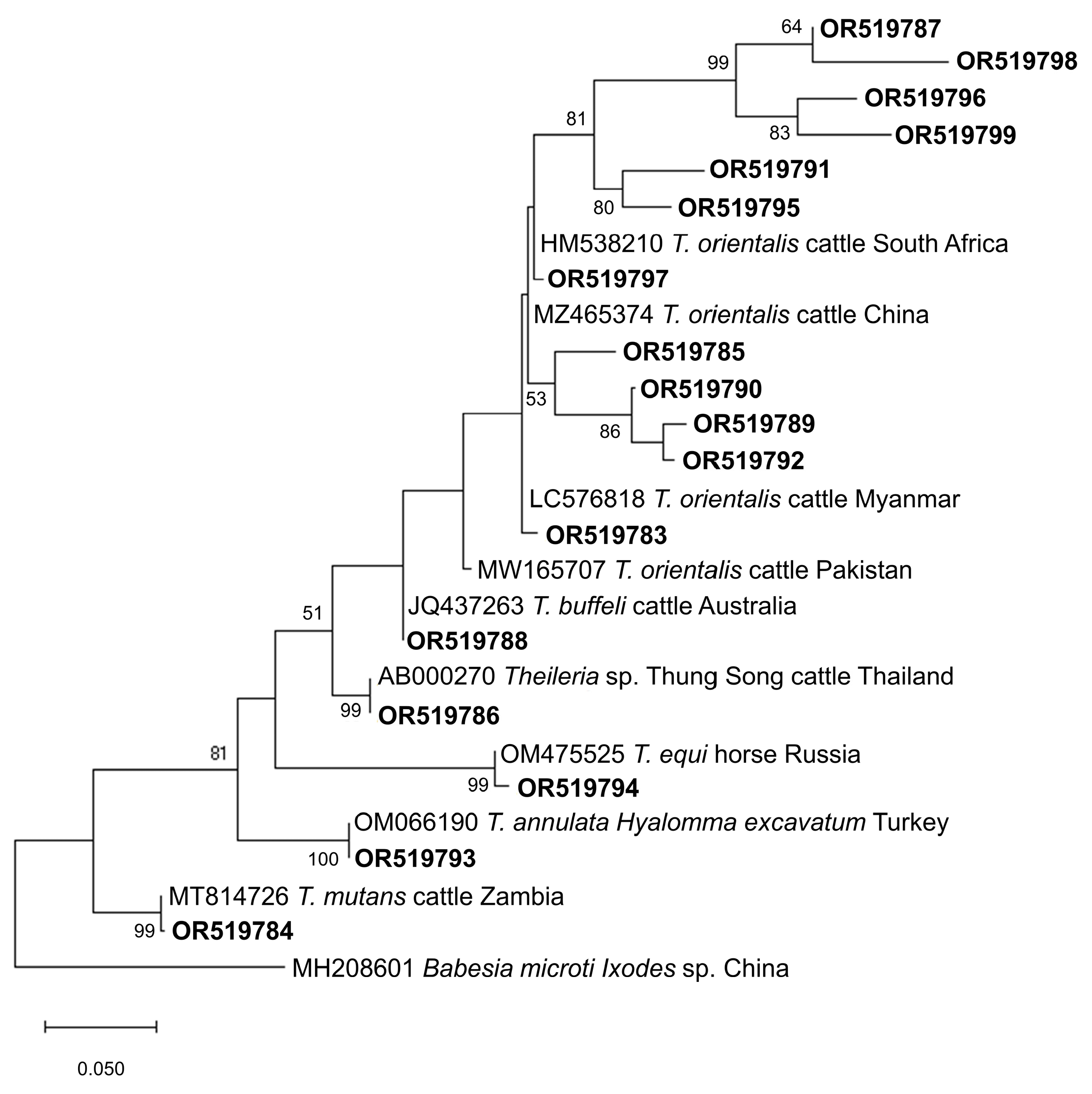 Microorganisms 11 02584 g003